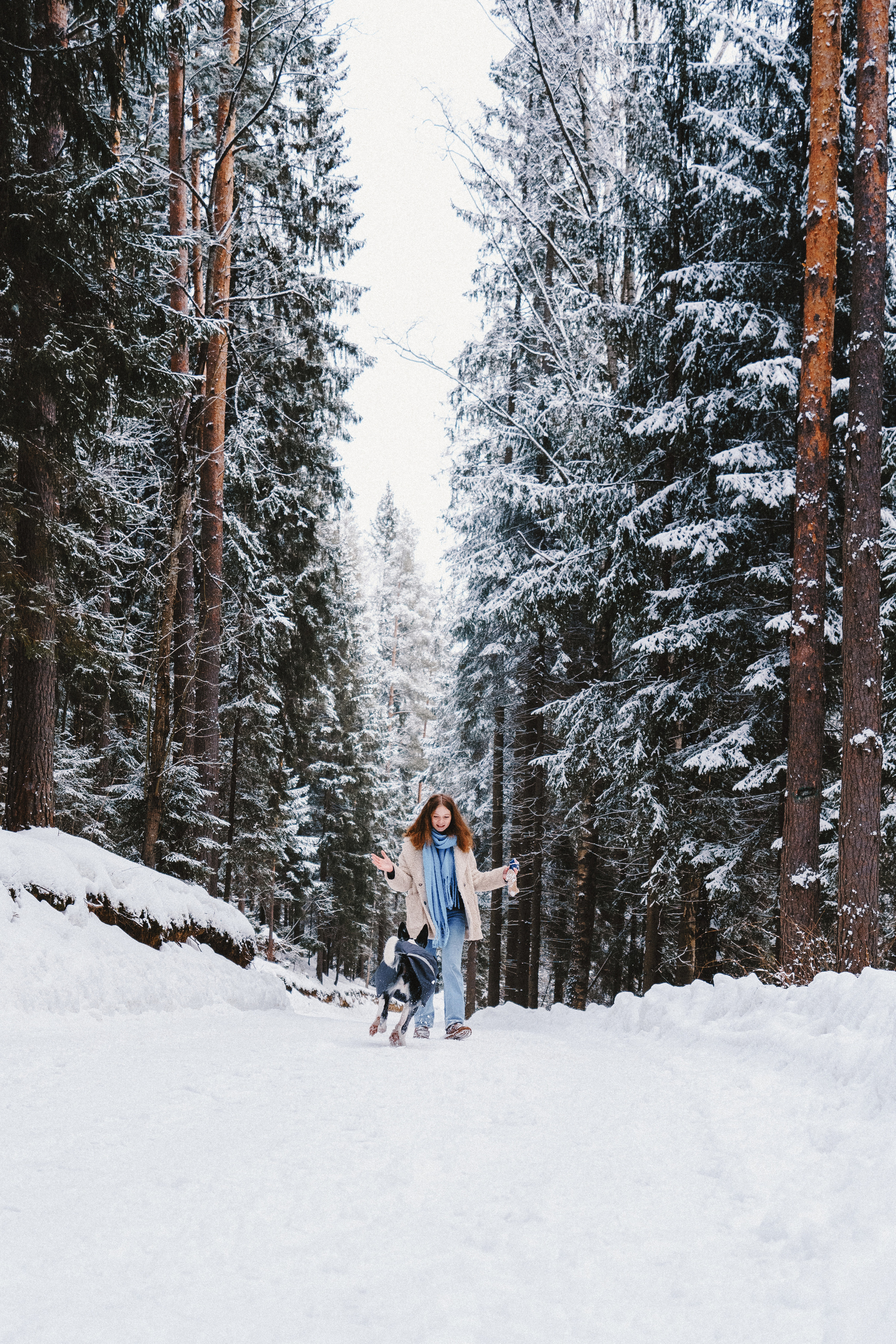 Лиля и Снейп. Фотограф анималист Осипчикова Мария