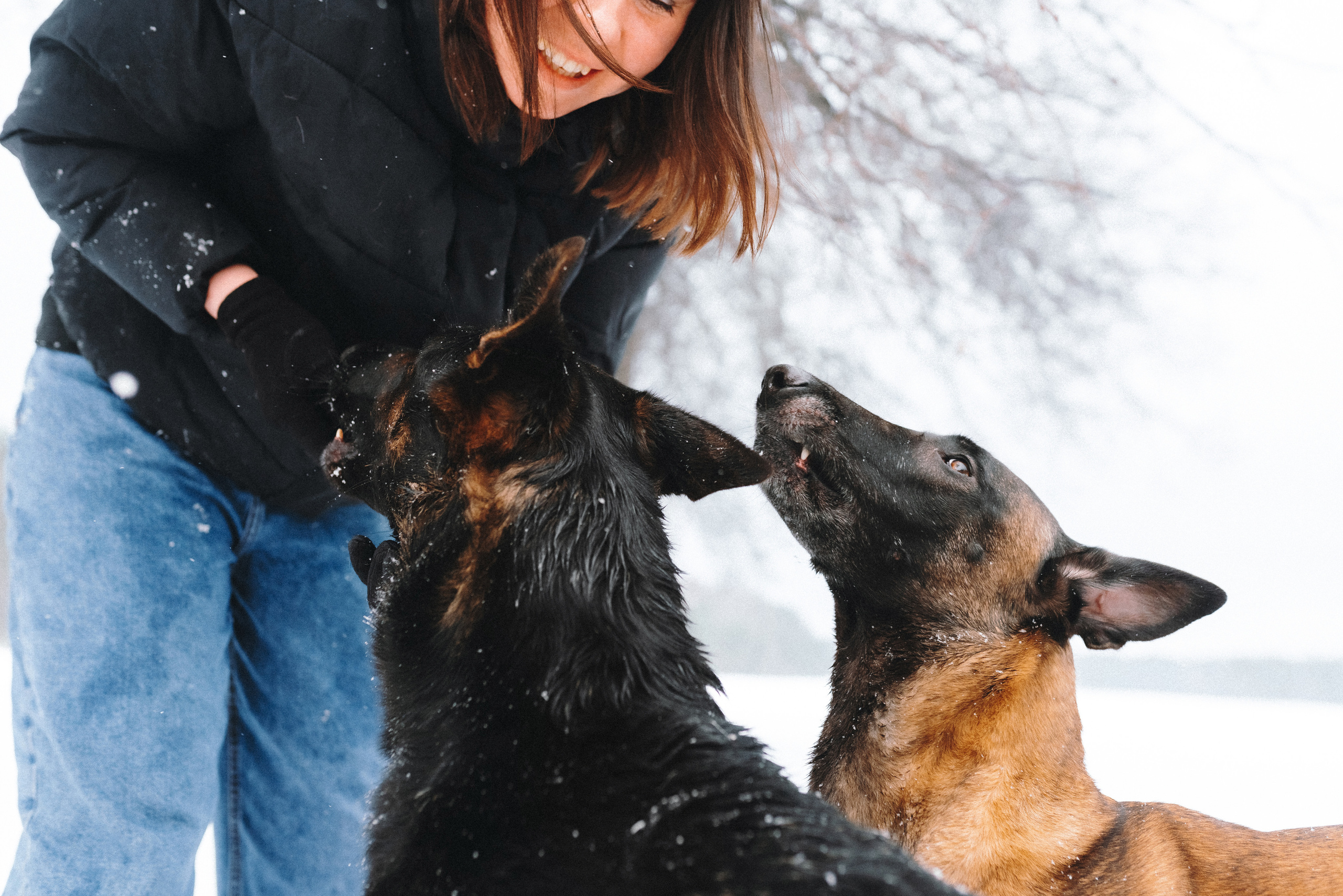 Оля, Делфи, Жара, Вита и Гранд. Фотограф анималист Осипчикова Мария