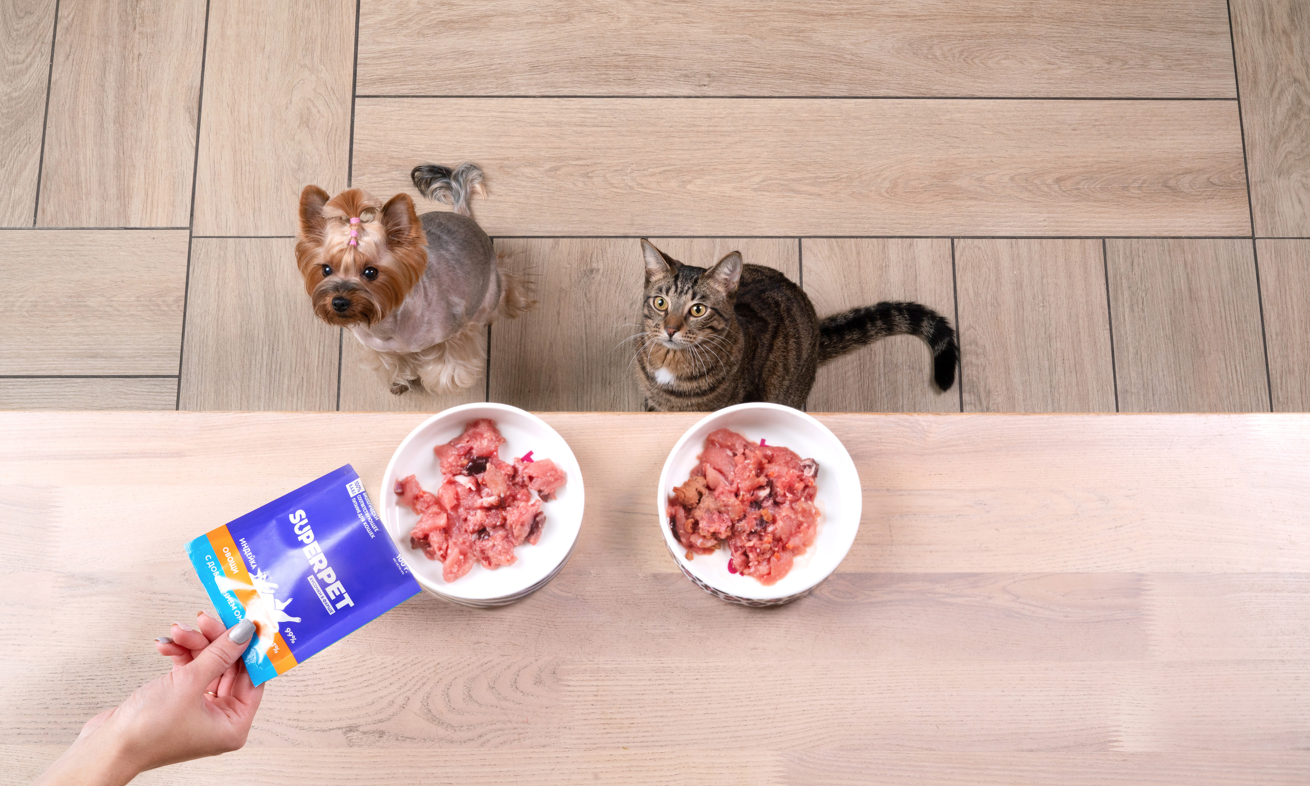 Суперпет. Фотограф анималист Осипчикова Мария