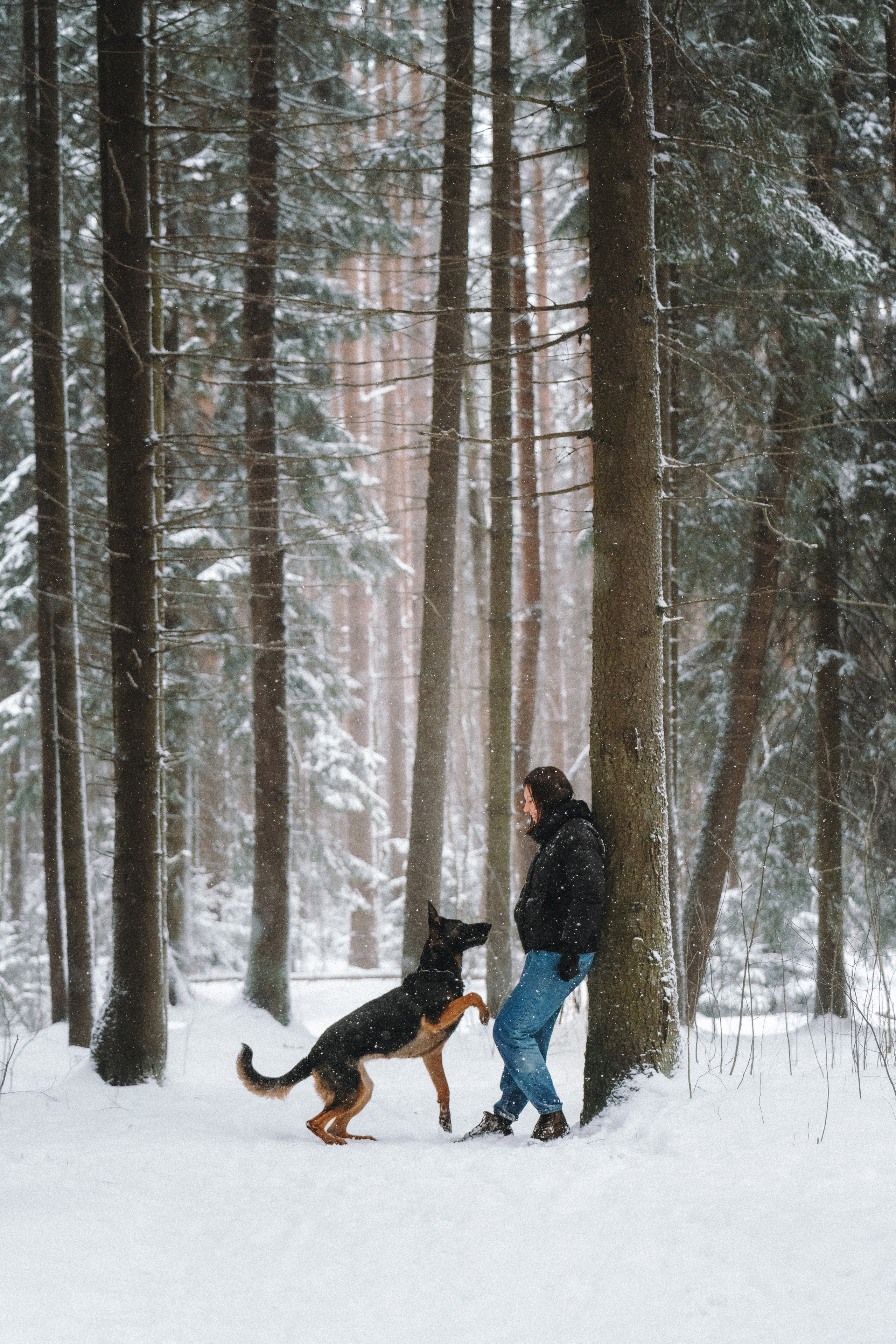 Оля, Делфи, Жара, Вита и Гранд. Фотограф анималист Осипчикова Мария