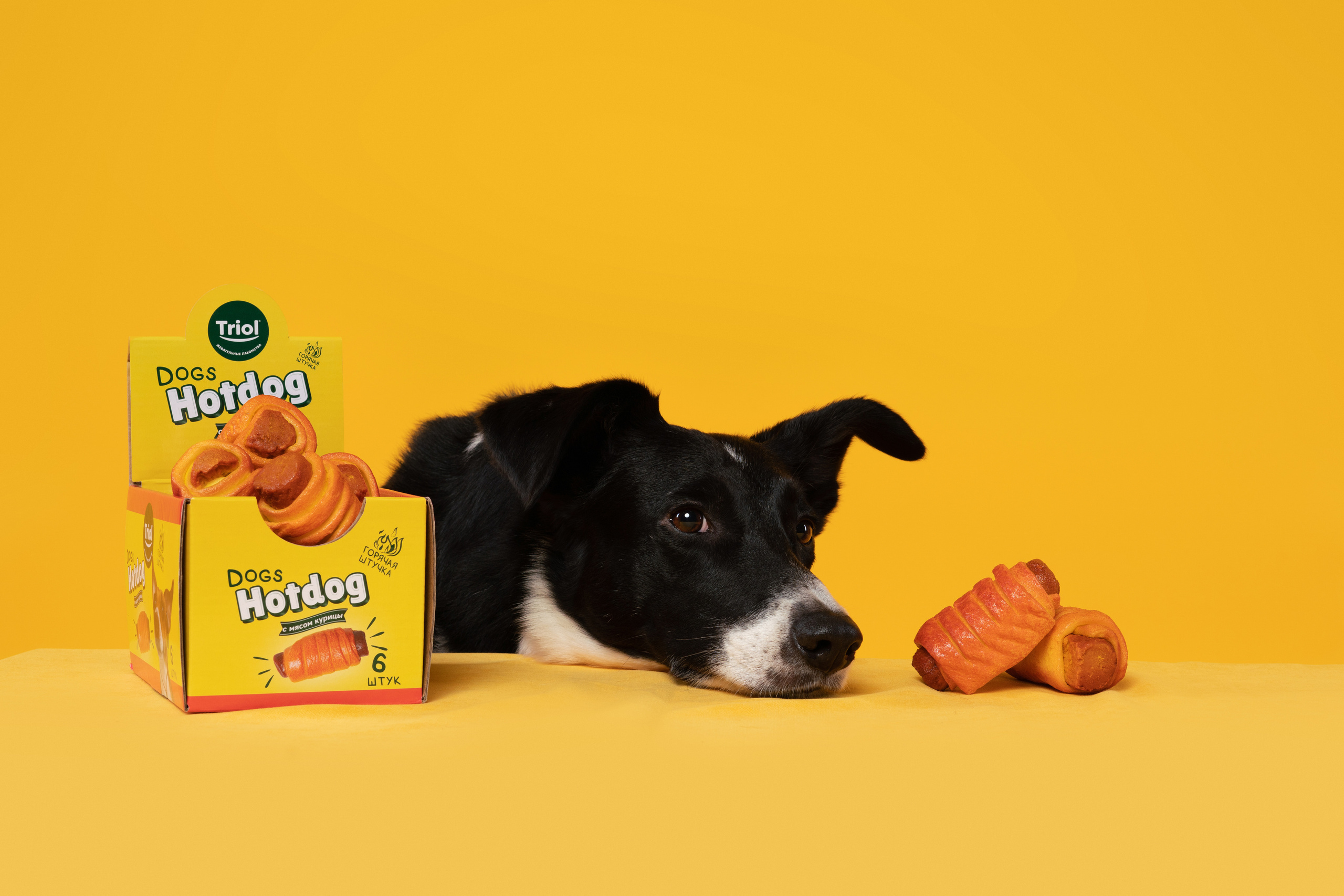 Лакомства. Фотограф анималист Осипчикова Мария