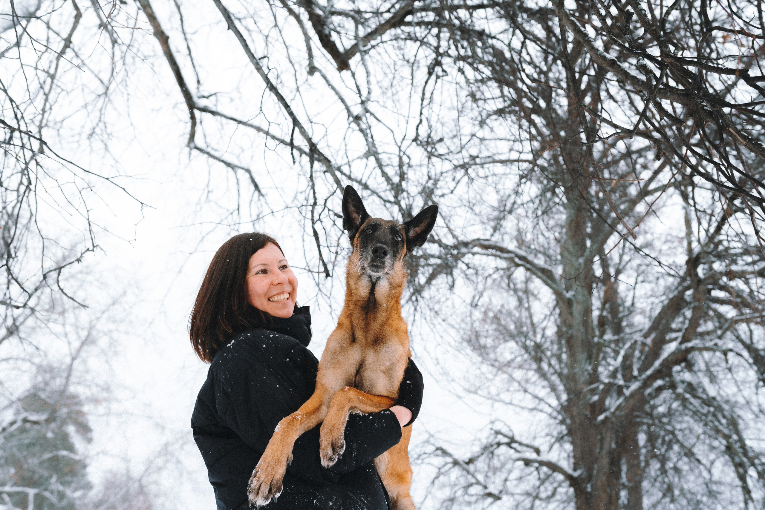 Оля, Делфи, Жара, Вита и Гранд. Фотограф анималист Осипчикова Мария