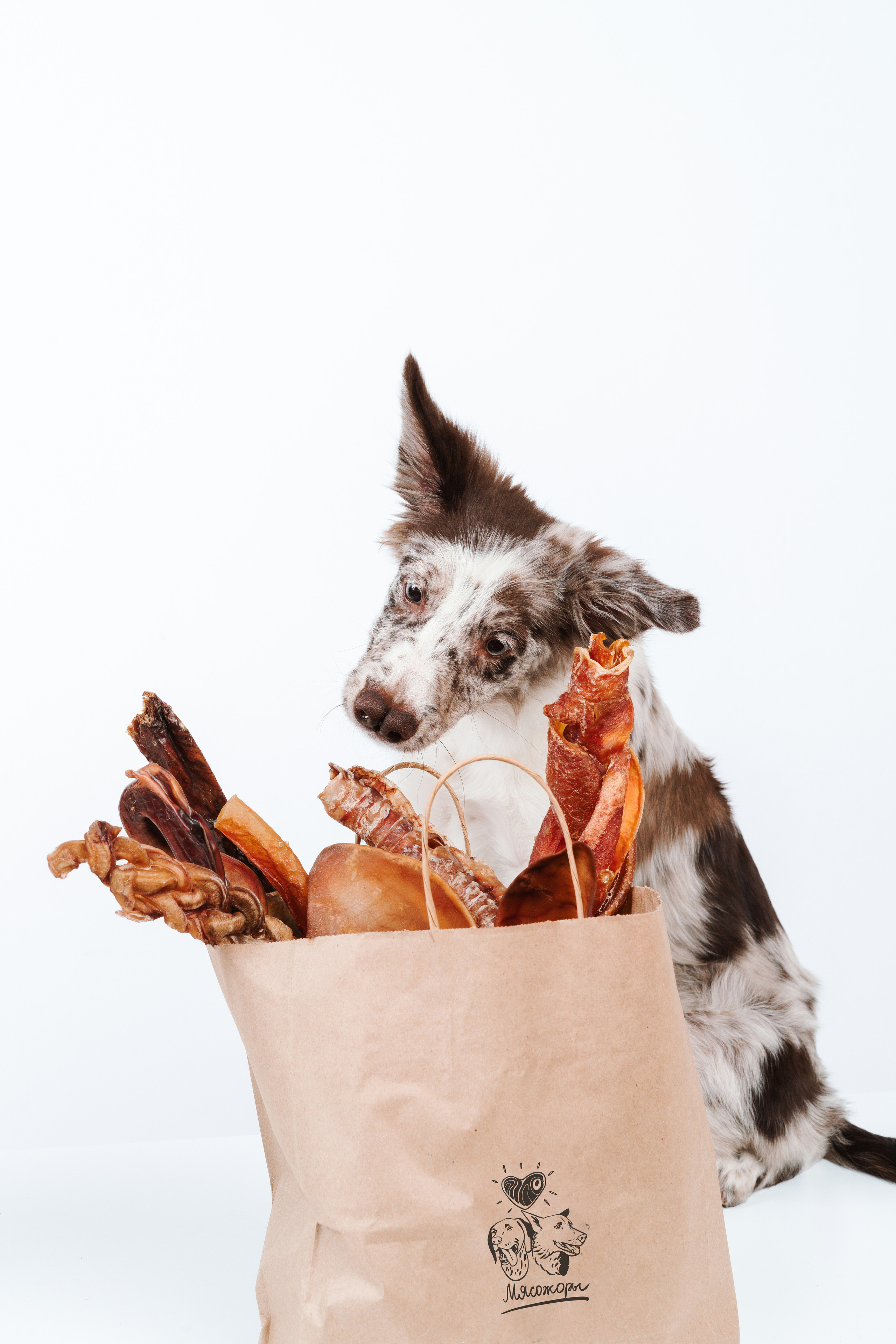 Сушенные лакомства. Фотограф анималист Осипчикова Мария