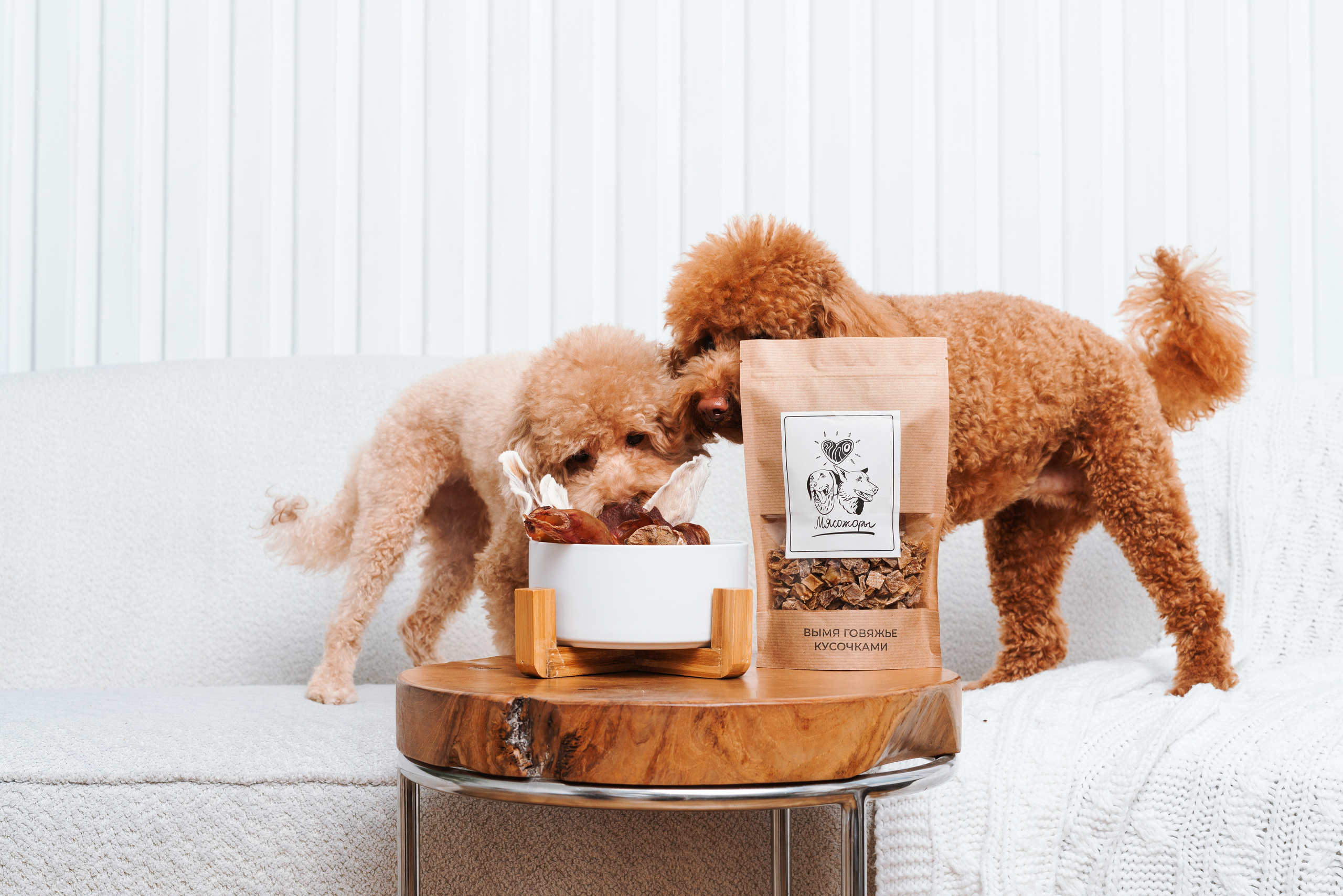 Сушенные лакомства. Фотограф анималист Осипчикова Мария