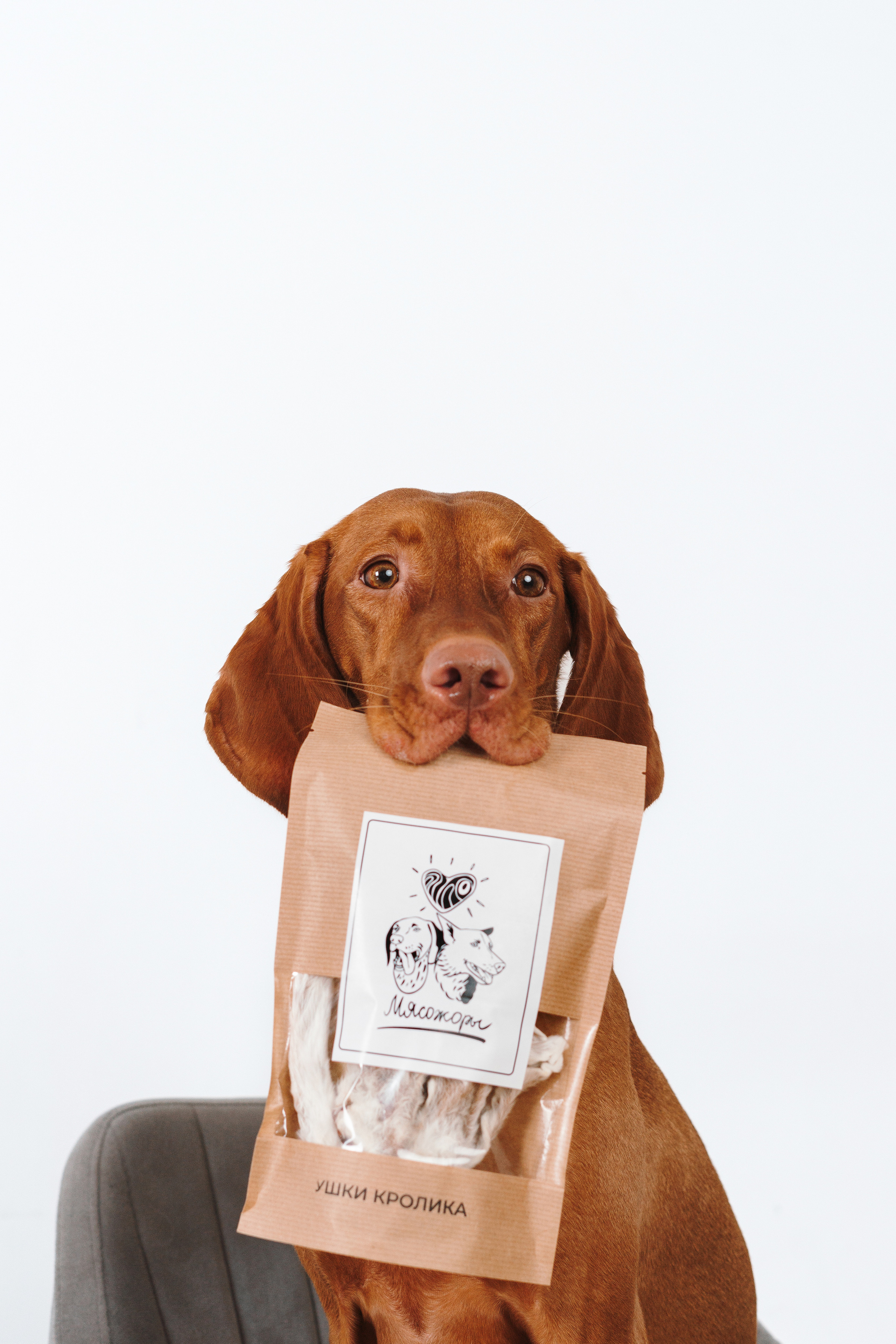 Сушенные лакомства. Фотограф анималист Осипчикова Мария