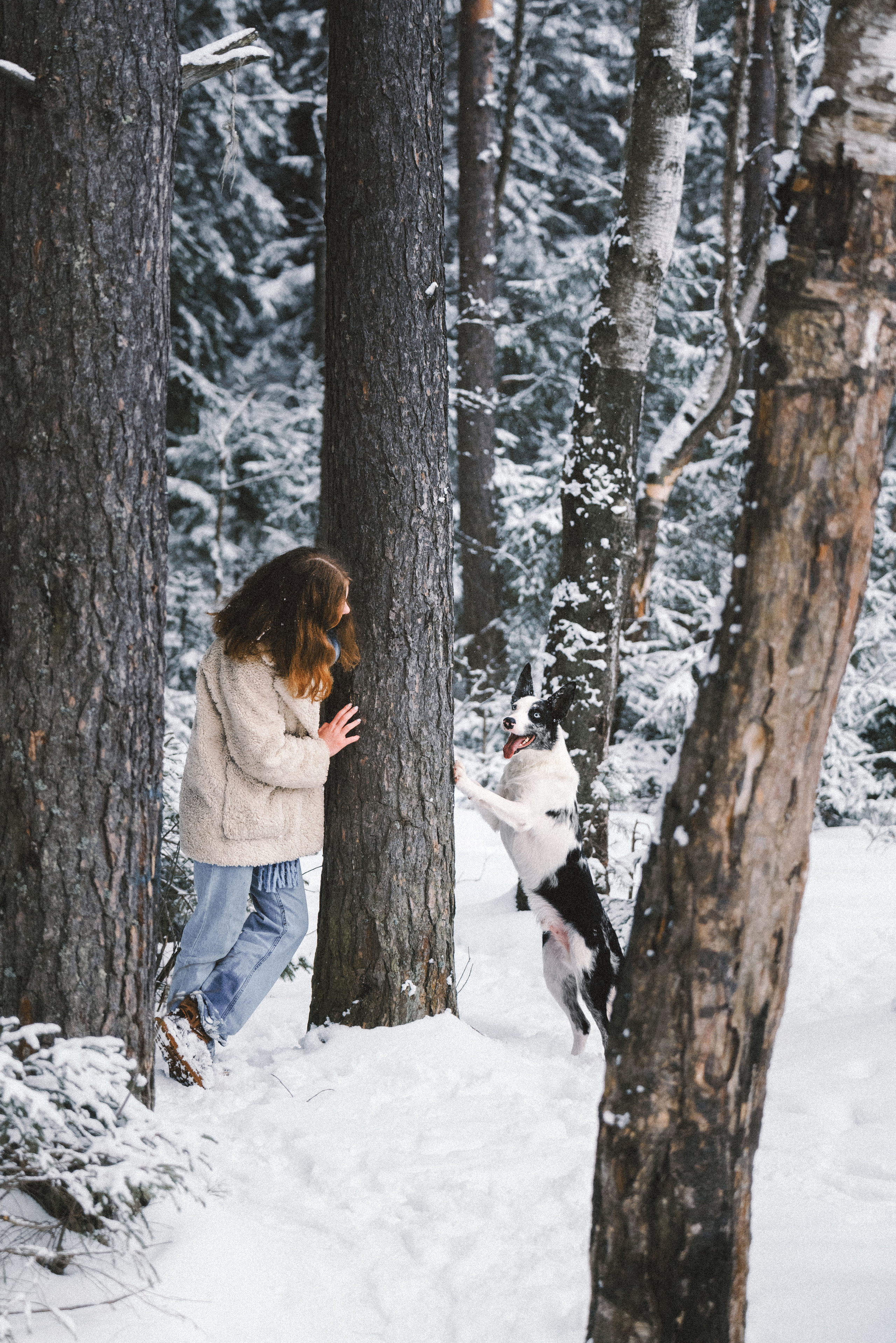 Лиля и Снейп. Фотограф анималист Осипчикова Мария