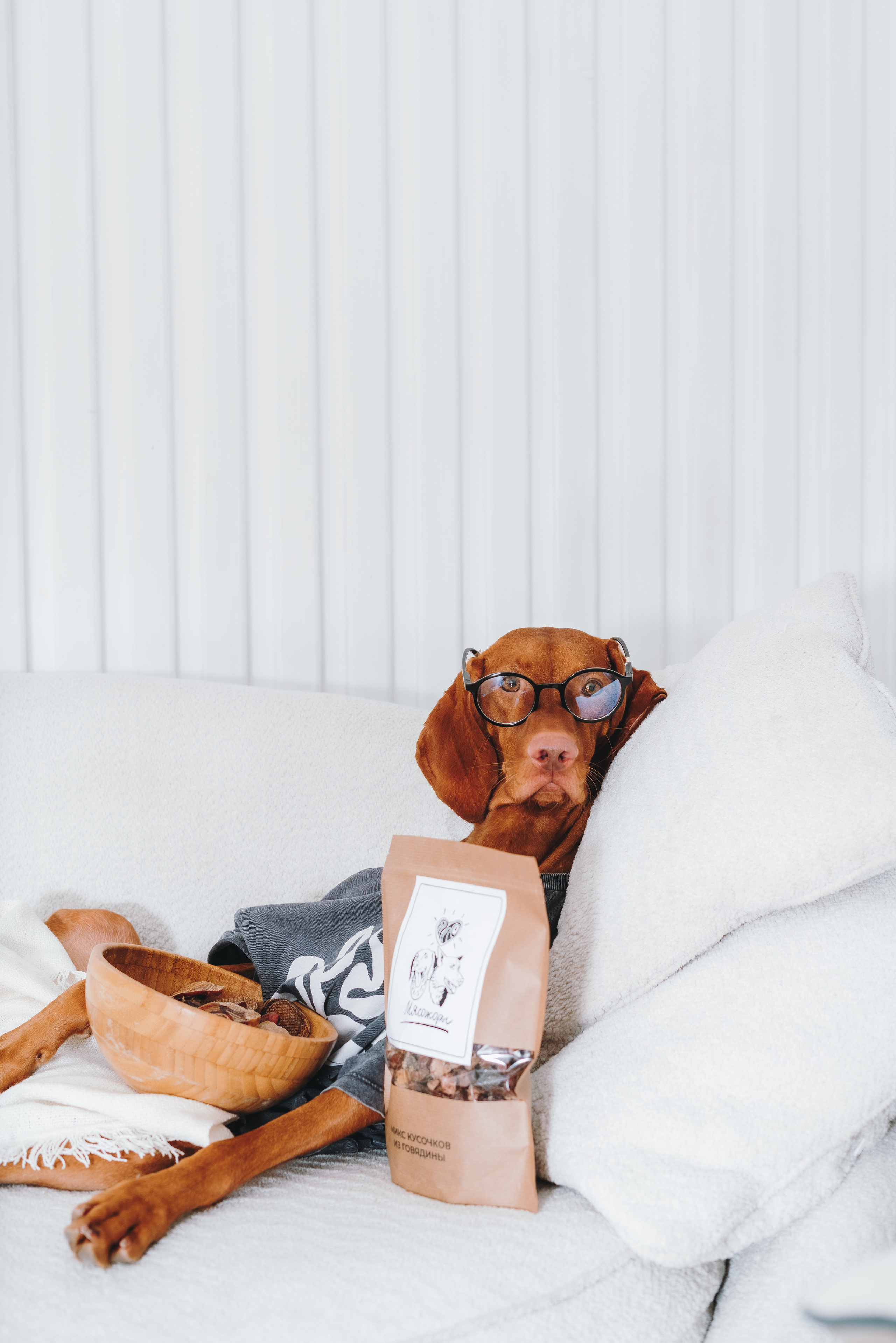 Сушенные лакомства. Фотограф анималист Осипчикова Мария