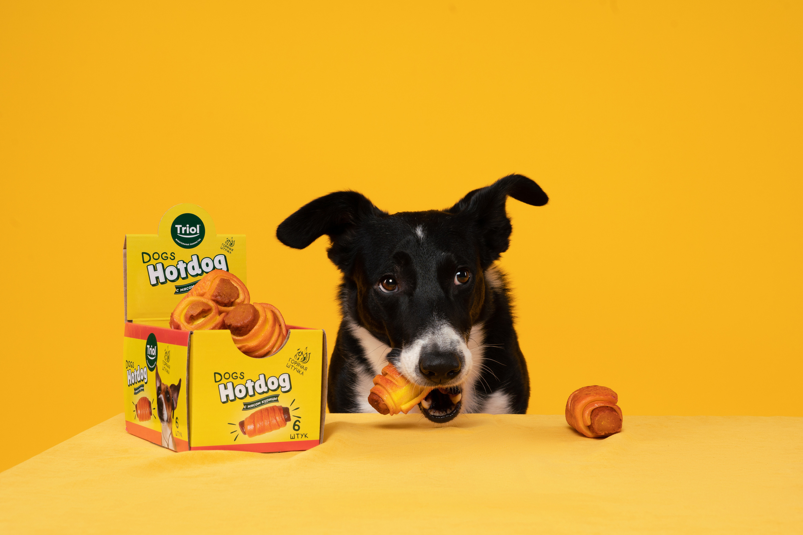 Лакомства. Фотограф анималист Осипчикова Мария