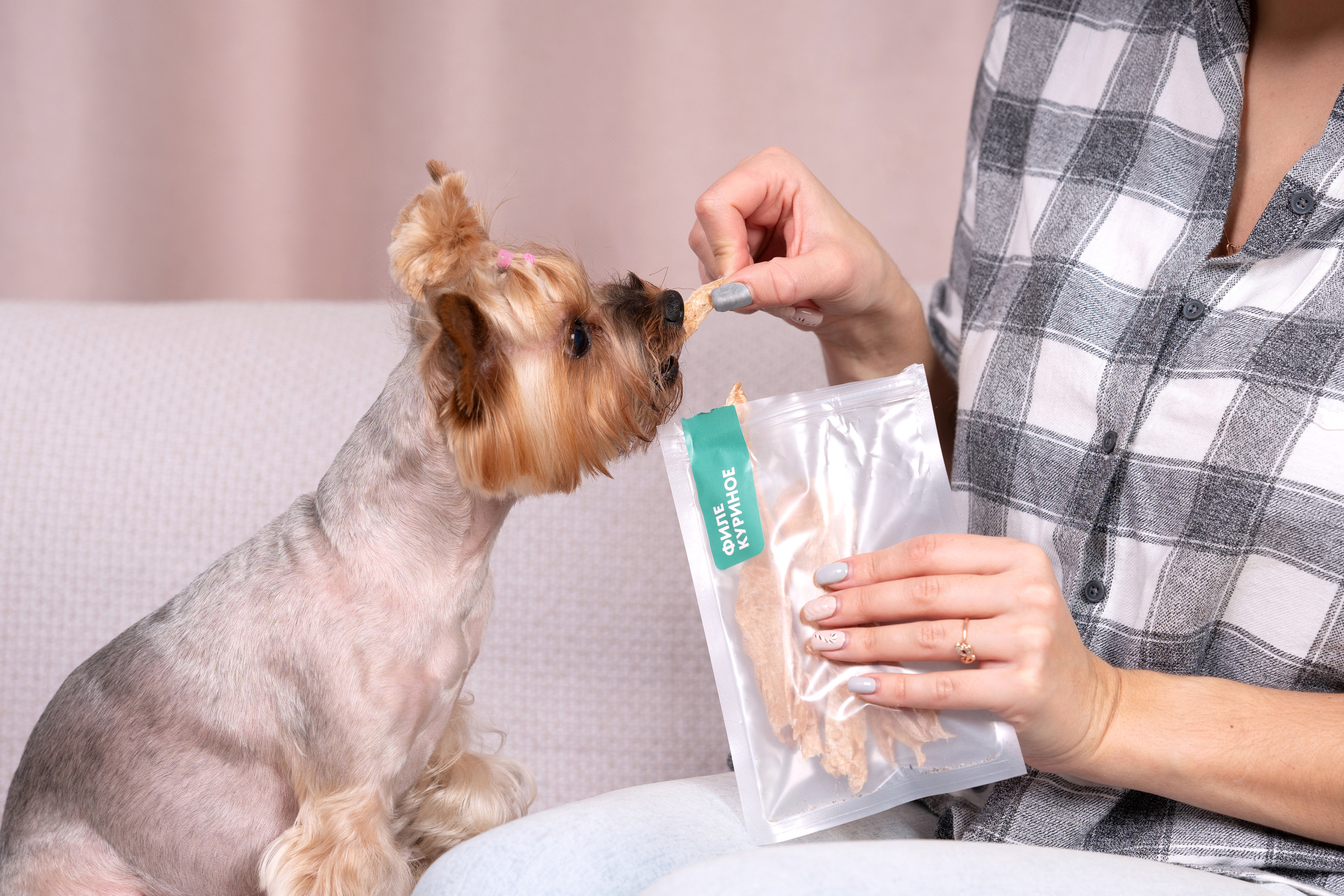 Суперпет. Фотограф анималист Осипчикова Мария