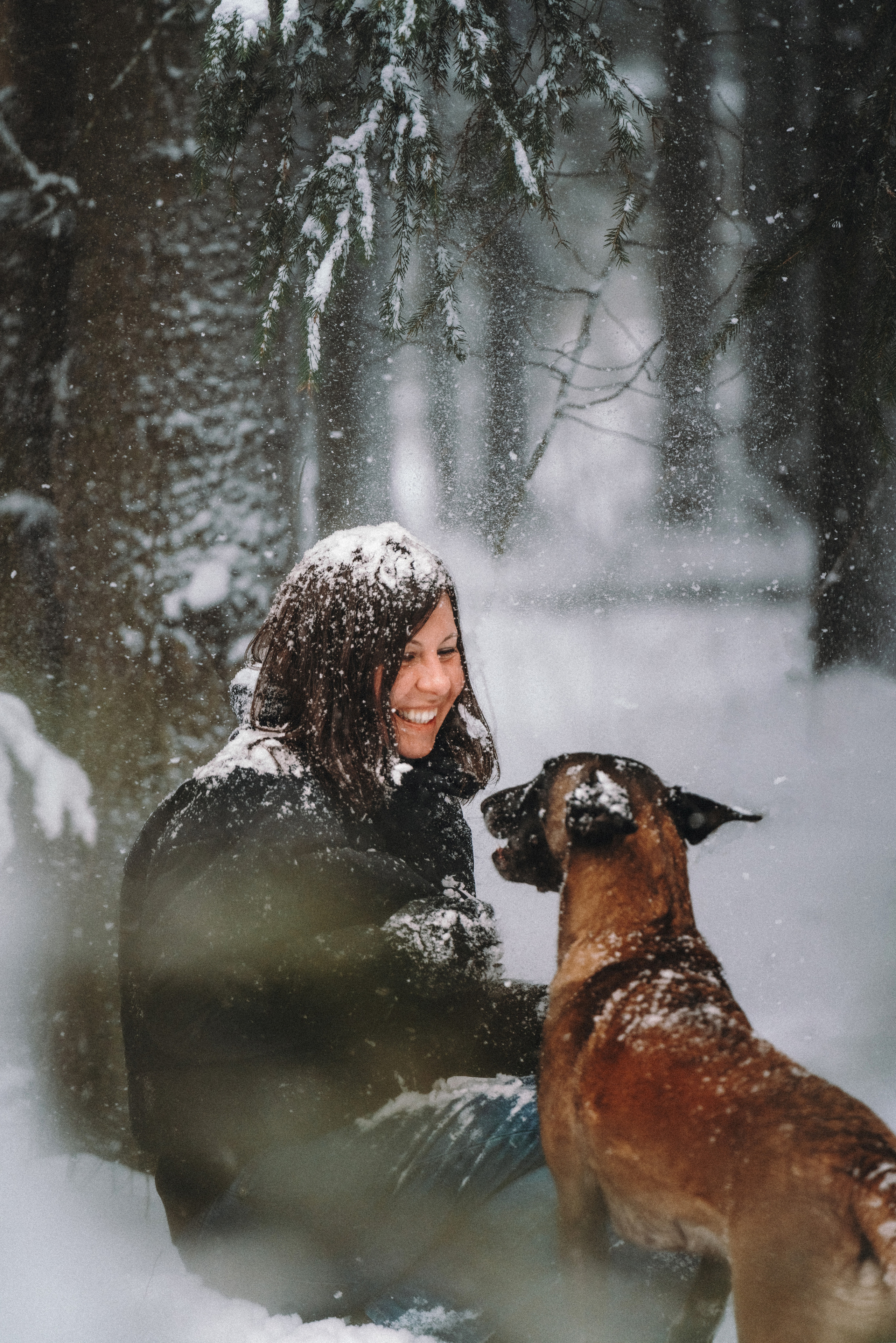 Оля, Делфи, Жара, Вита и Гранд. Фотограф анималист Осипчикова Мария