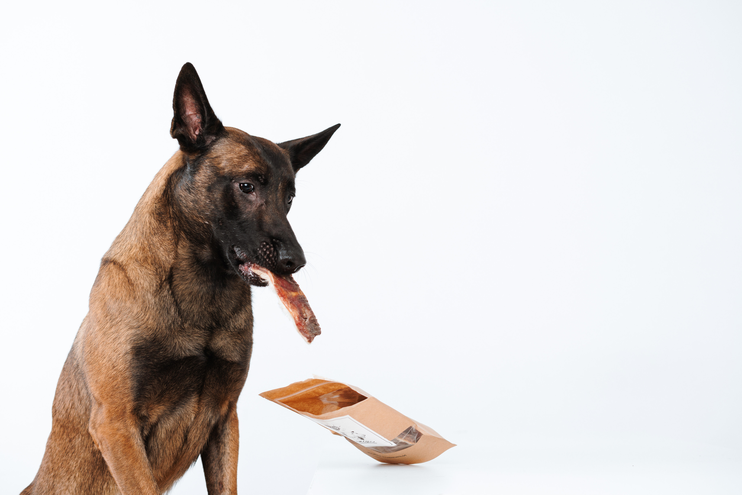 Сушенные лакомства. Фотограф анималист Осипчикова Мария