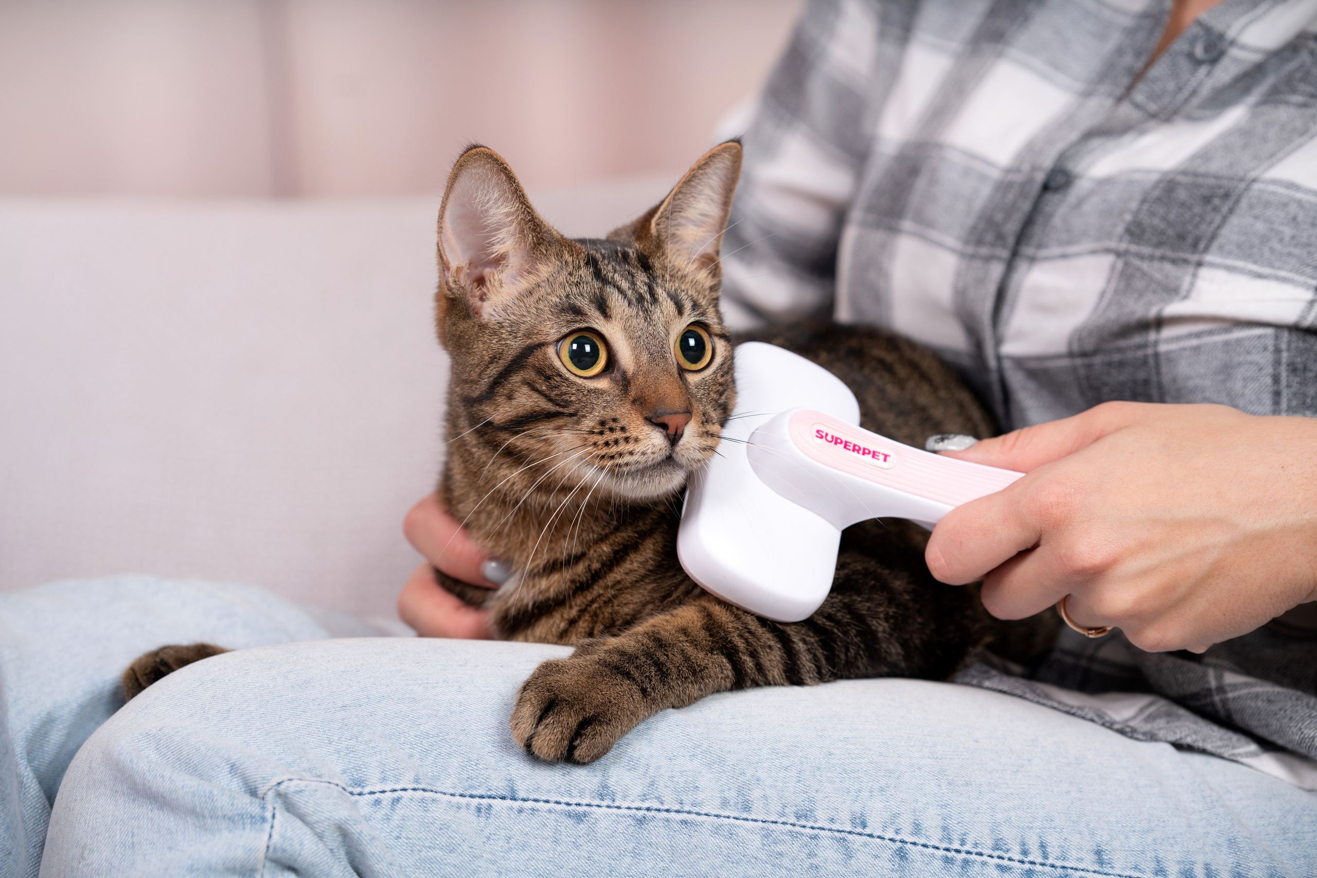 Суперпет. Фотограф анималист Осипчикова Мария