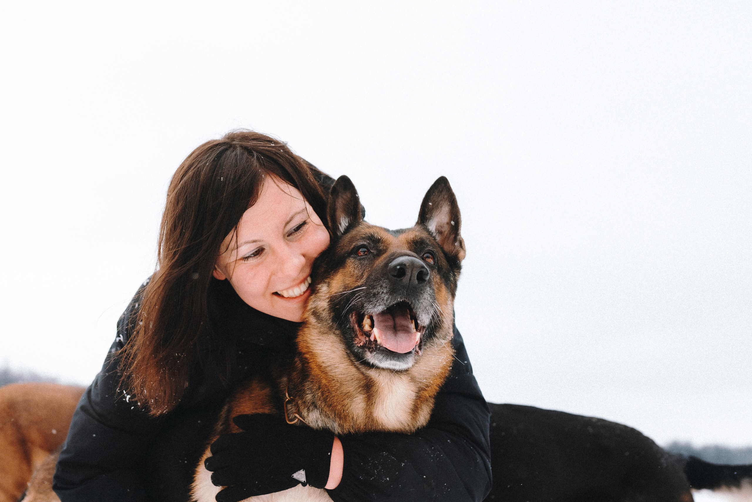 Оля, Делфи, Жара, Вита и Гранд. Фотограф анималист Осипчикова Мария