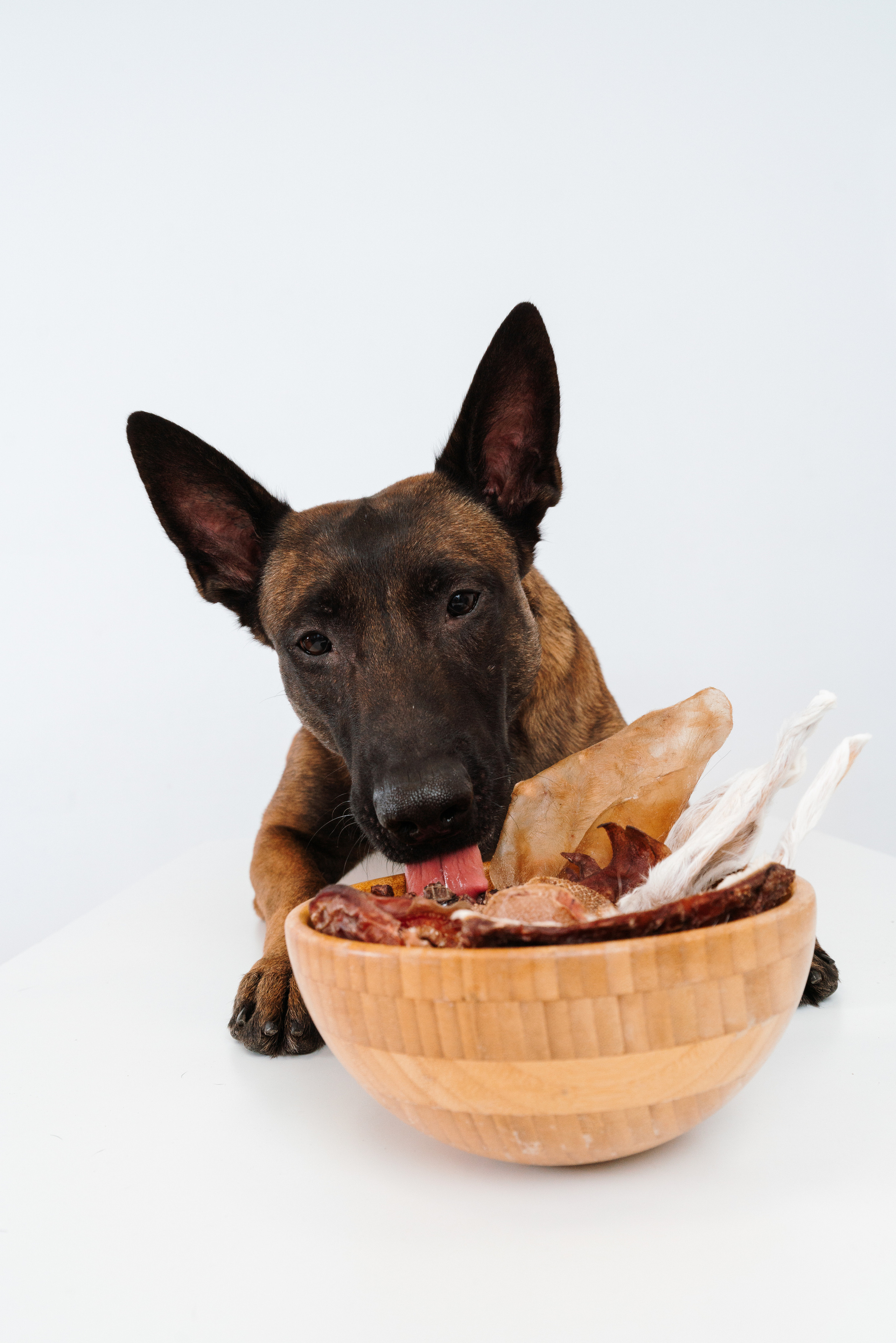 Сушенные лакомства. Фотограф анималист Осипчикова Мария