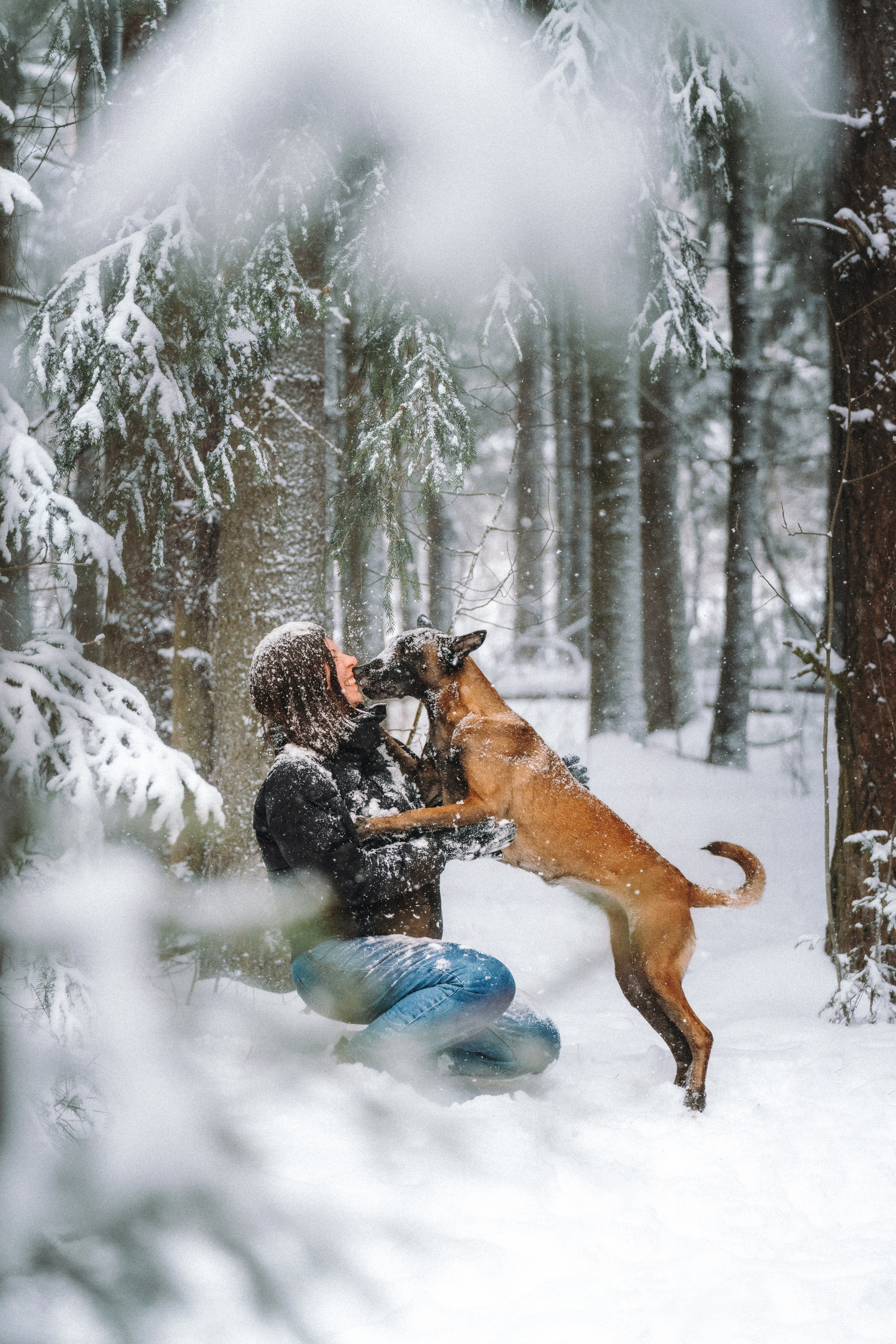 Оля, Делфи, Жара, Вита и Гранд. Фотограф анималист Осипчикова Мария