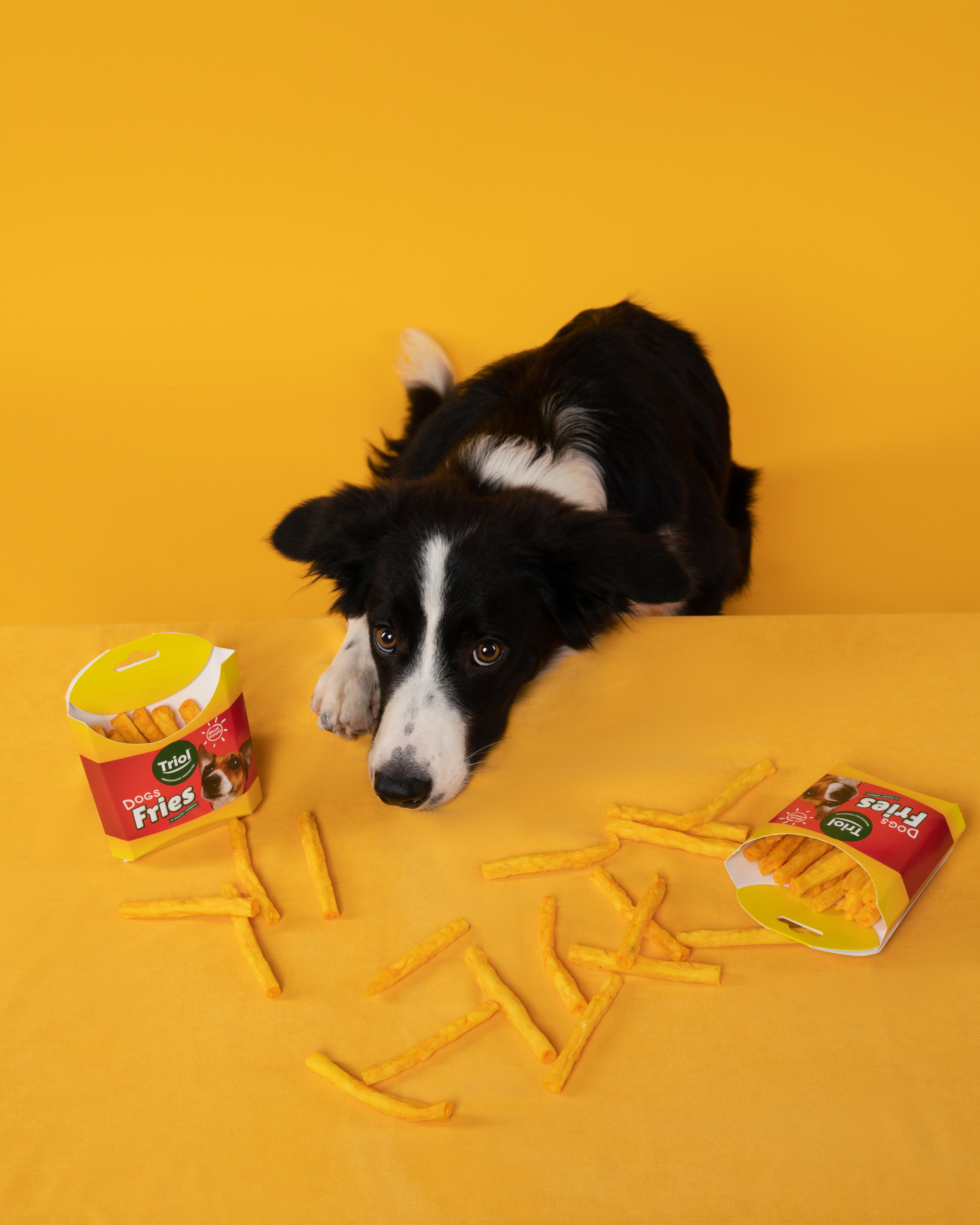 Лакомства. Фотограф анималист Осипчикова Мария