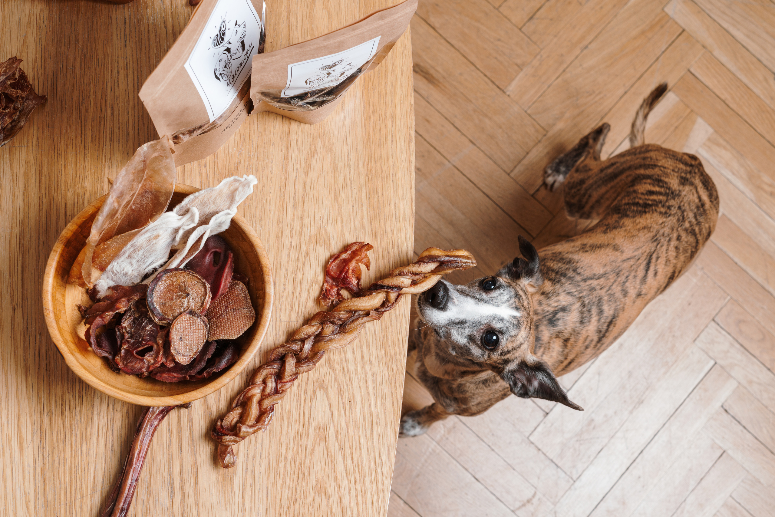 Сушенные лакомства. Фотограф анималист Осипчикова Мария