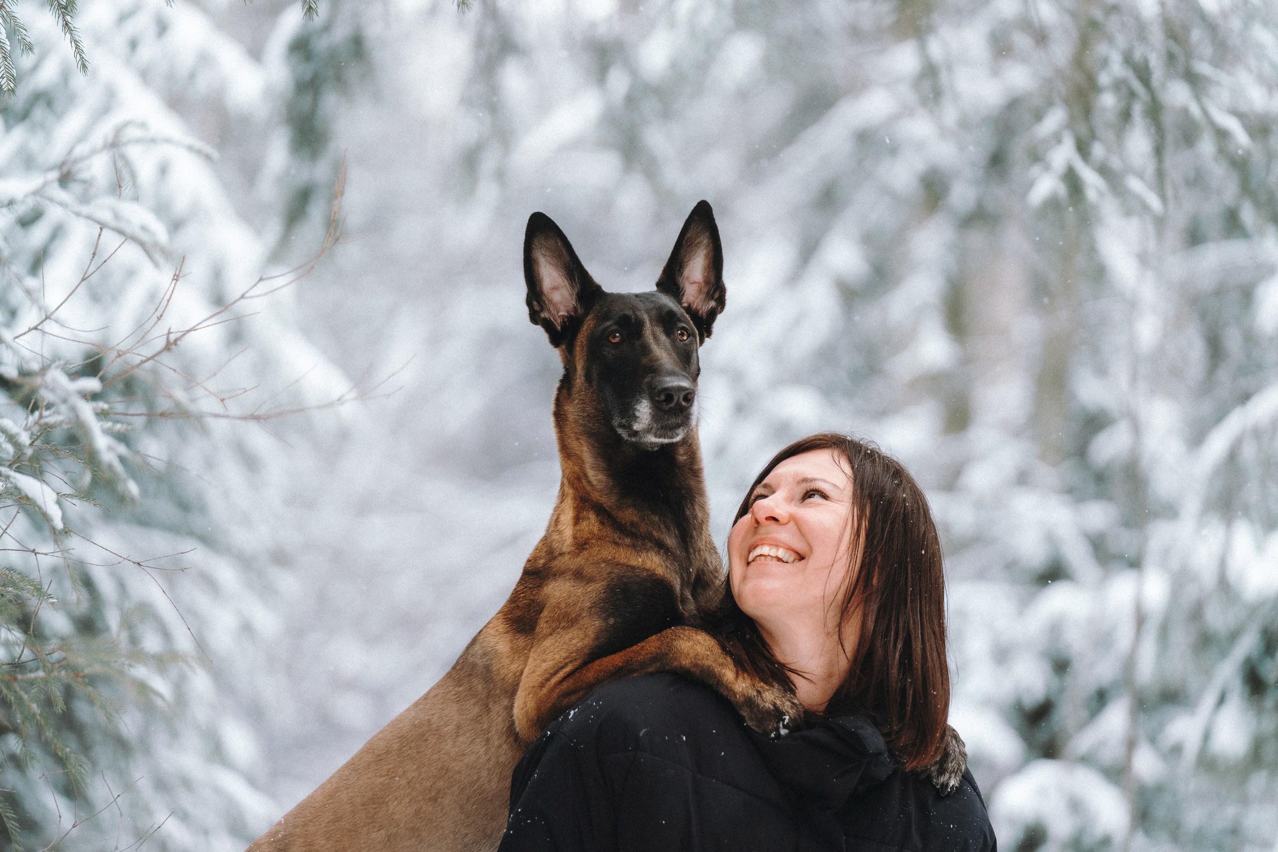 Оля, Делфи, Жара, Вита и Гранд. Фотограф анималист Осипчикова Мария