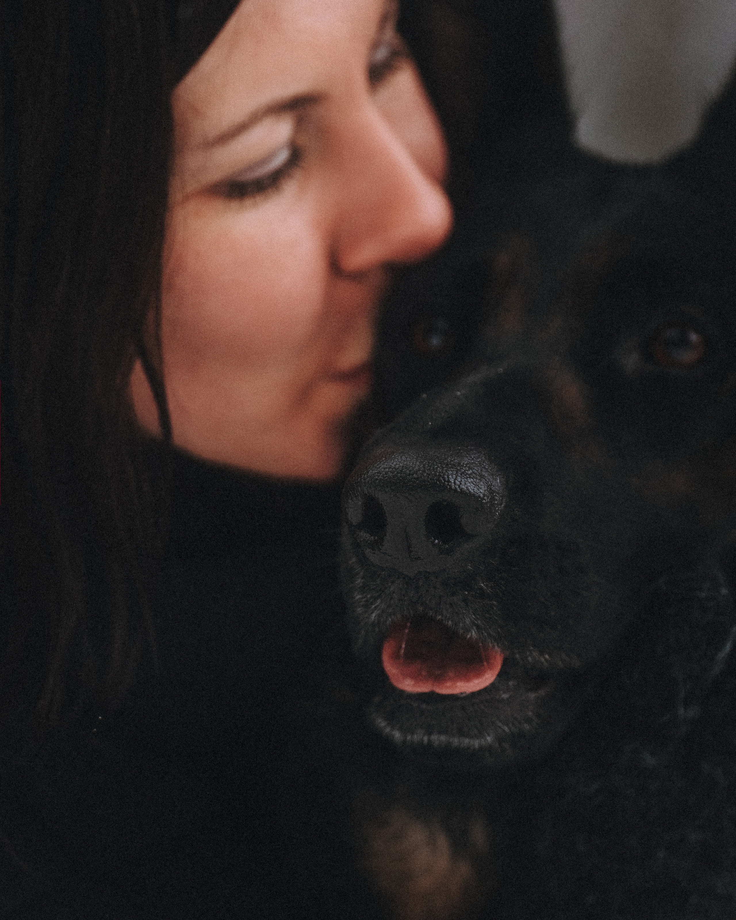 Оля, Делфи, Жара, Вита и Гранд. Фотограф анималист Осипчикова Мария