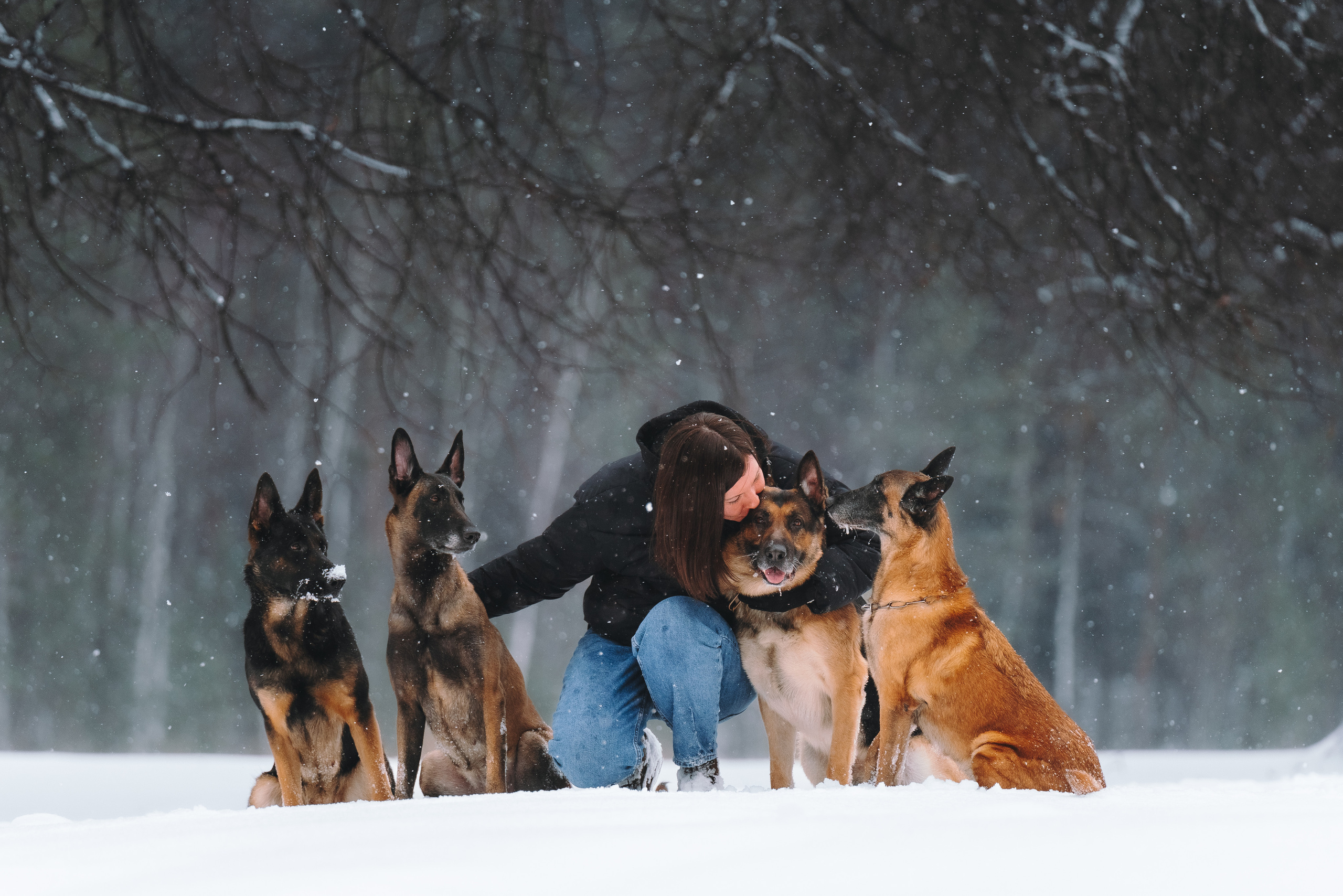 Оля, Делфи, Жара, Вита и Гранд. Фотограф анималист Осипчикова Мария