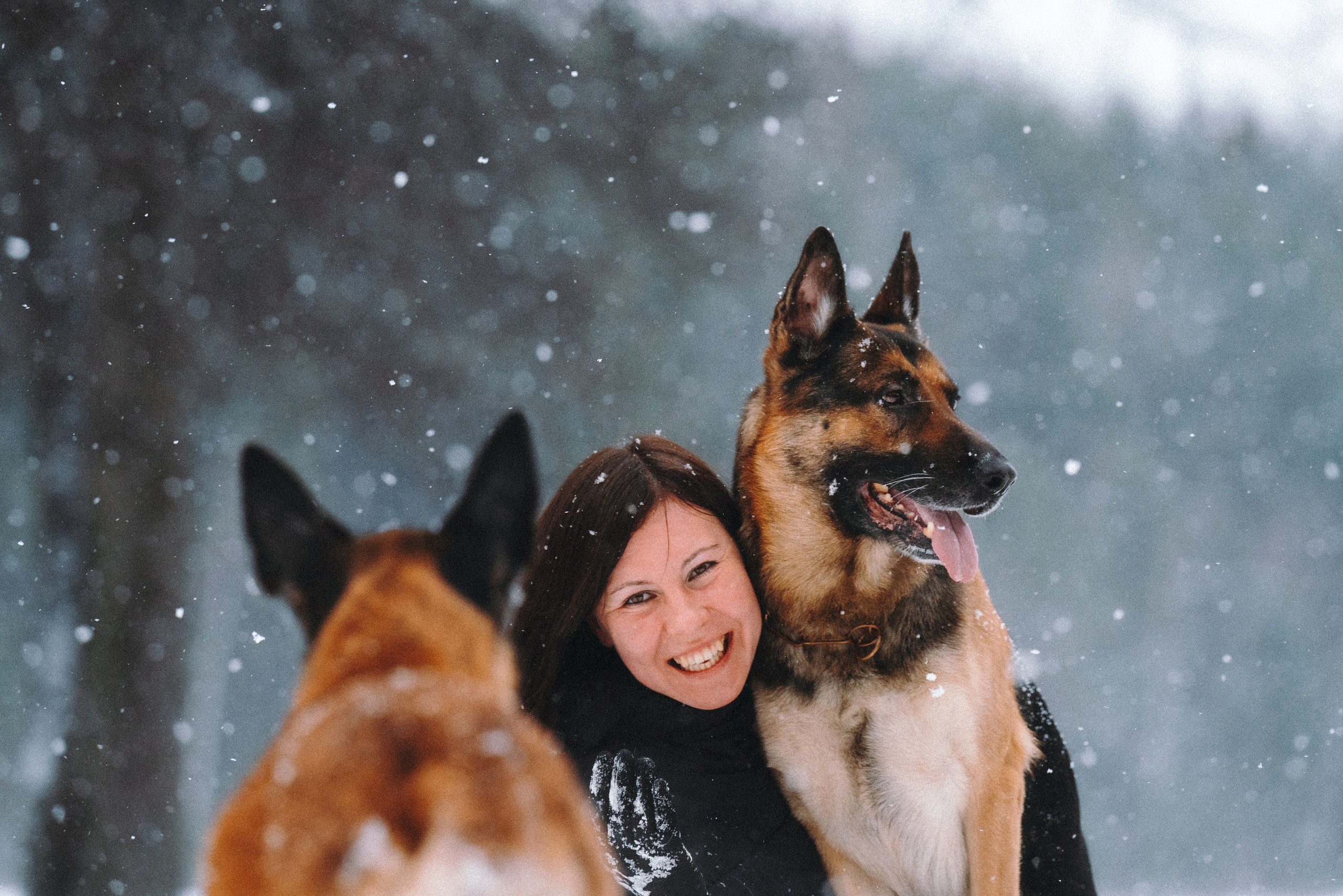 Оля, Делфи, Жара, Вита и Гранд. Фотограф анималист Осипчикова Мария
