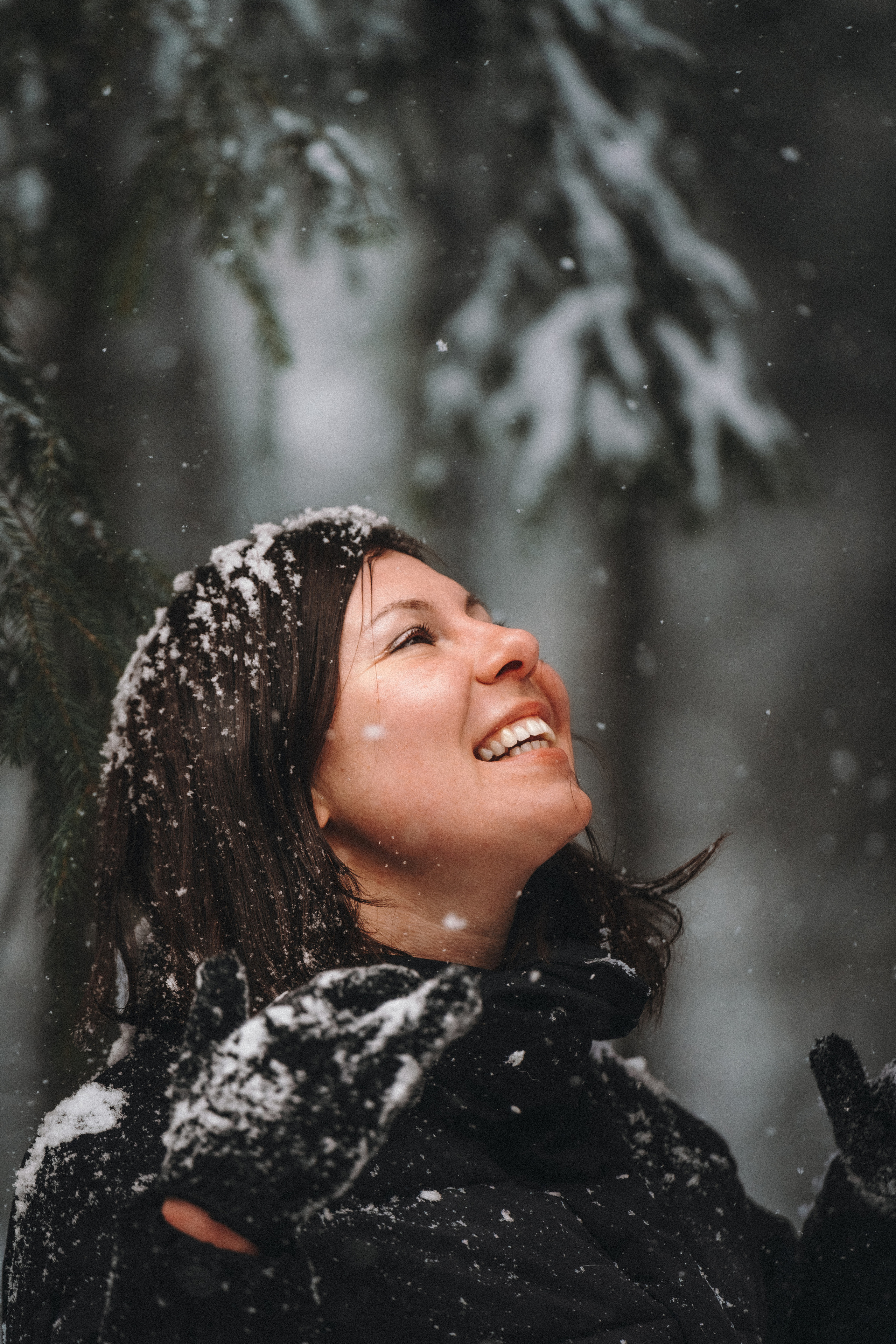 Оля, Делфи, Жара, Вита и Гранд. Фотограф анималист Осипчикова Мария