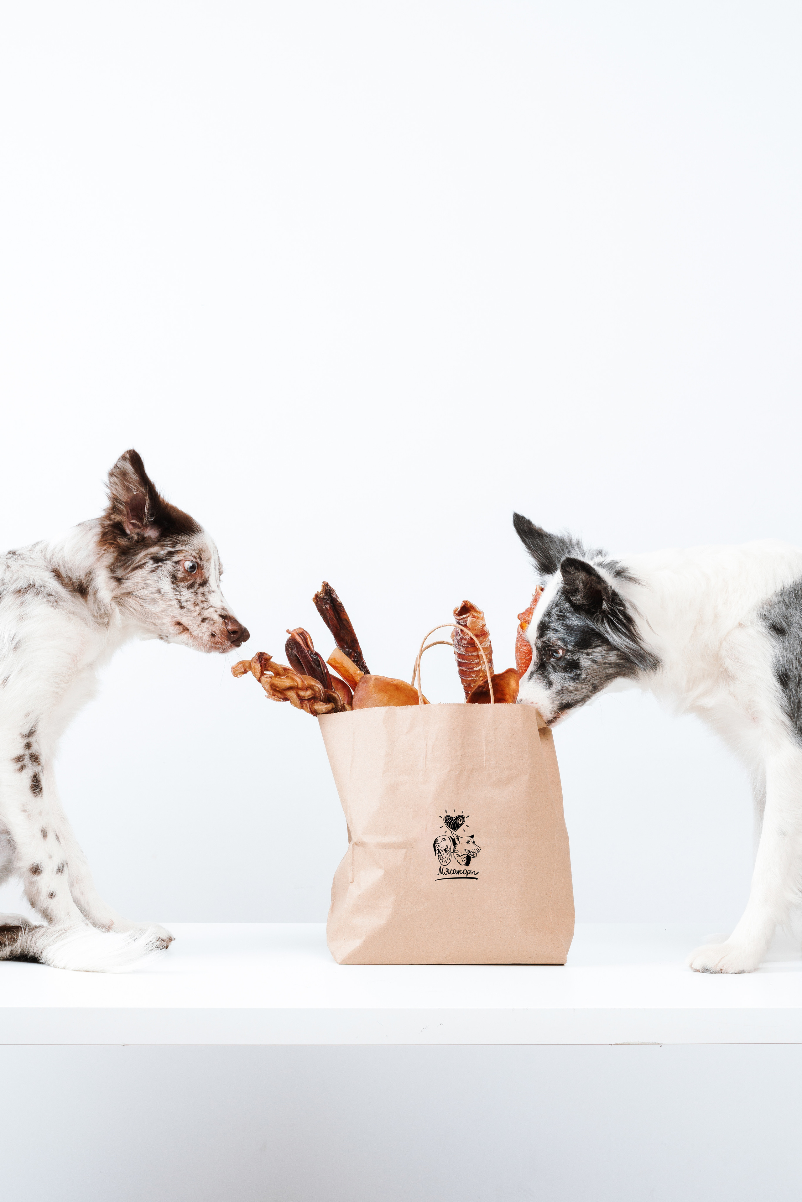 Сушенные лакомства. Фотограф анималист Осипчикова Мария