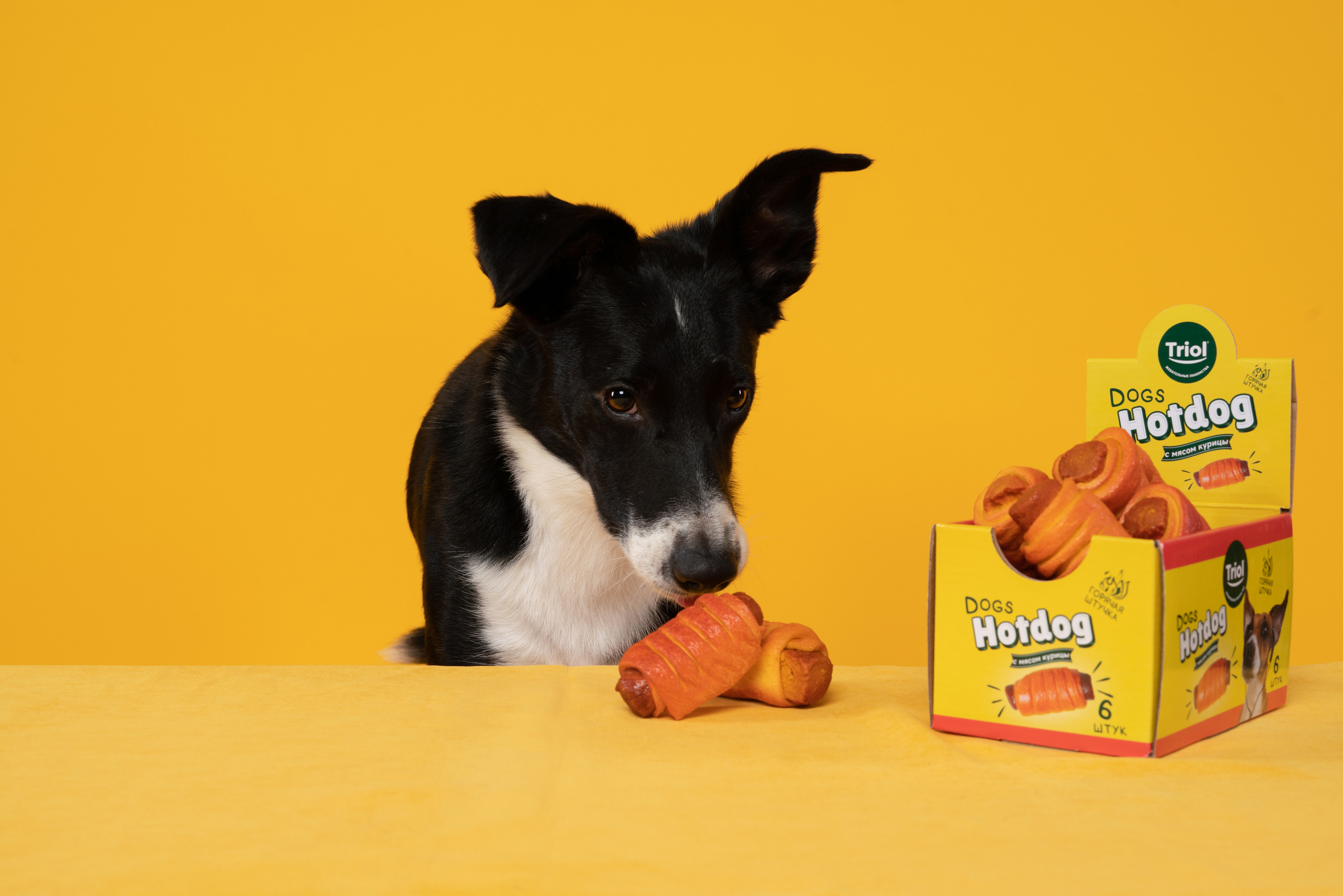 Лакомства. Фотограф анималист Осипчикова Мария