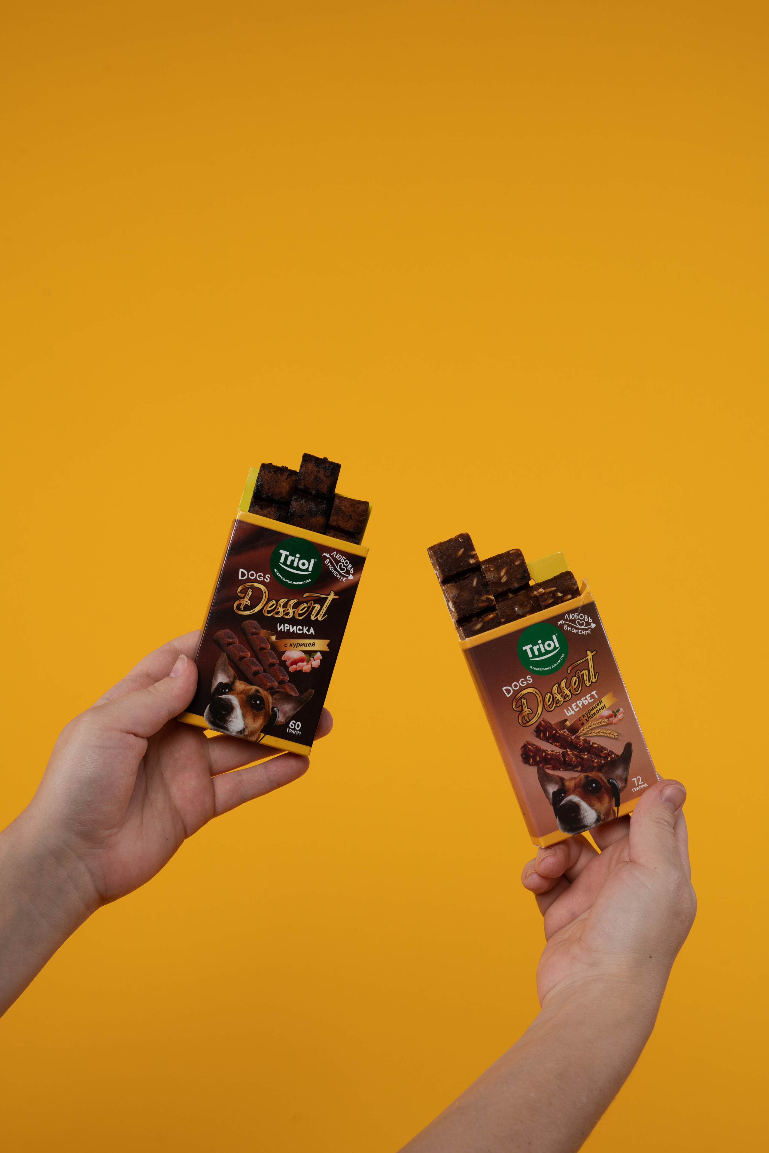 Лакомства. Фотограф анималист Осипчикова Мария