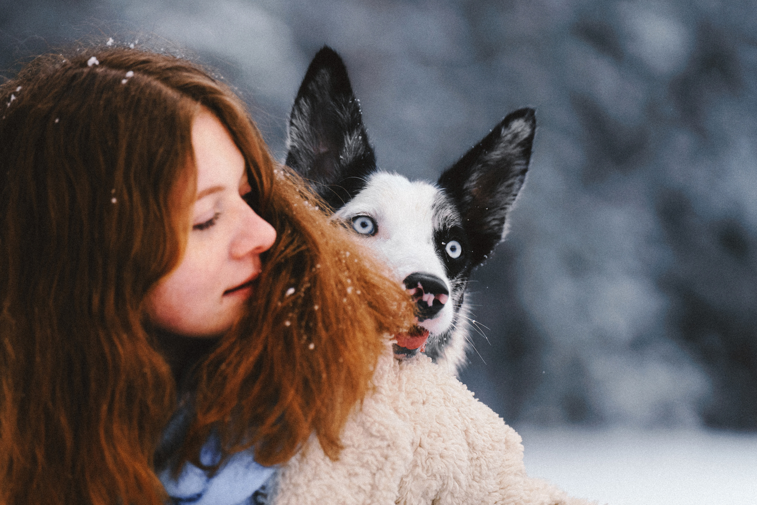 Лиля и Снейп. Фотограф анималист Осипчикова Мария