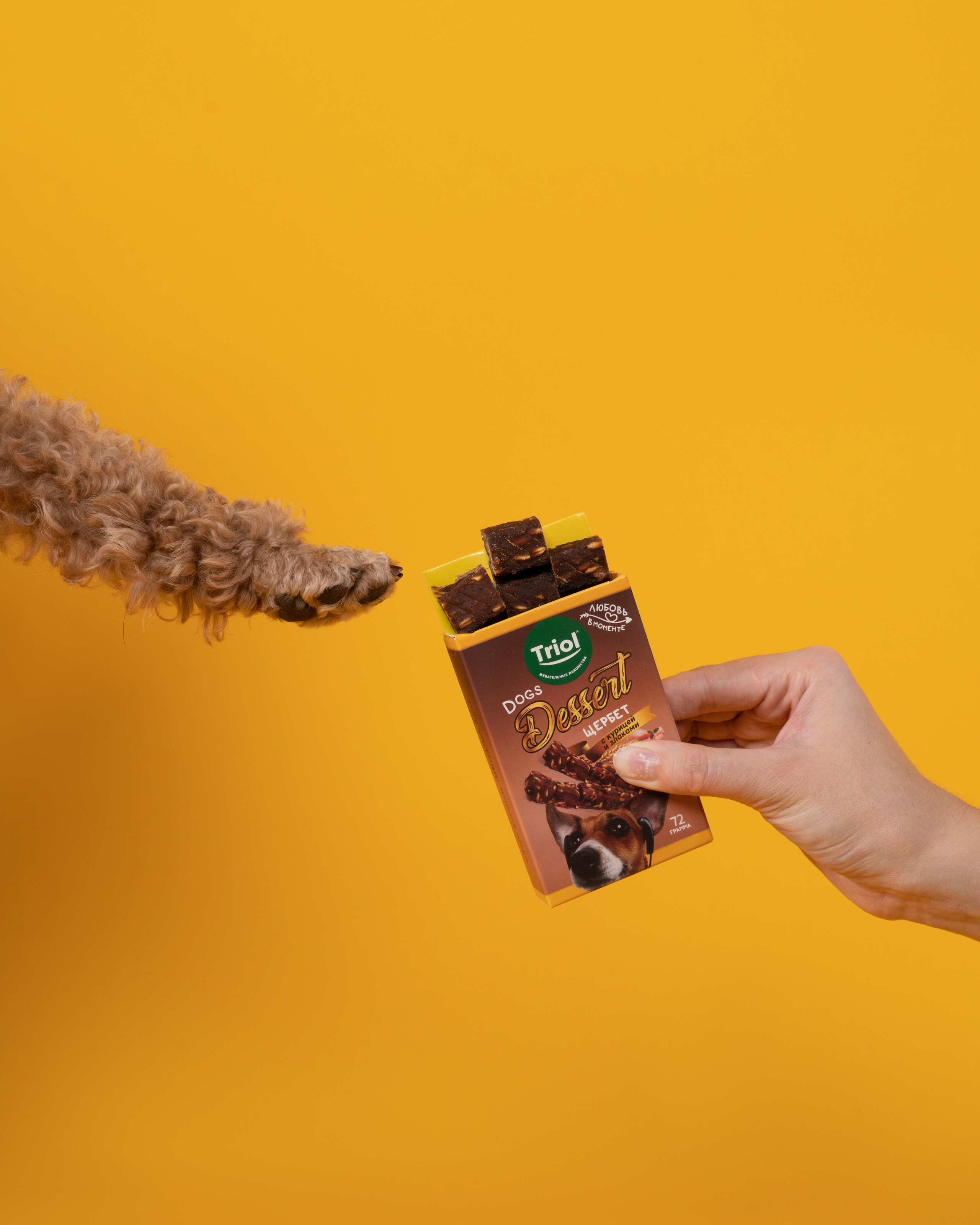 Лакомства. Фотограф анималист Осипчикова Мария