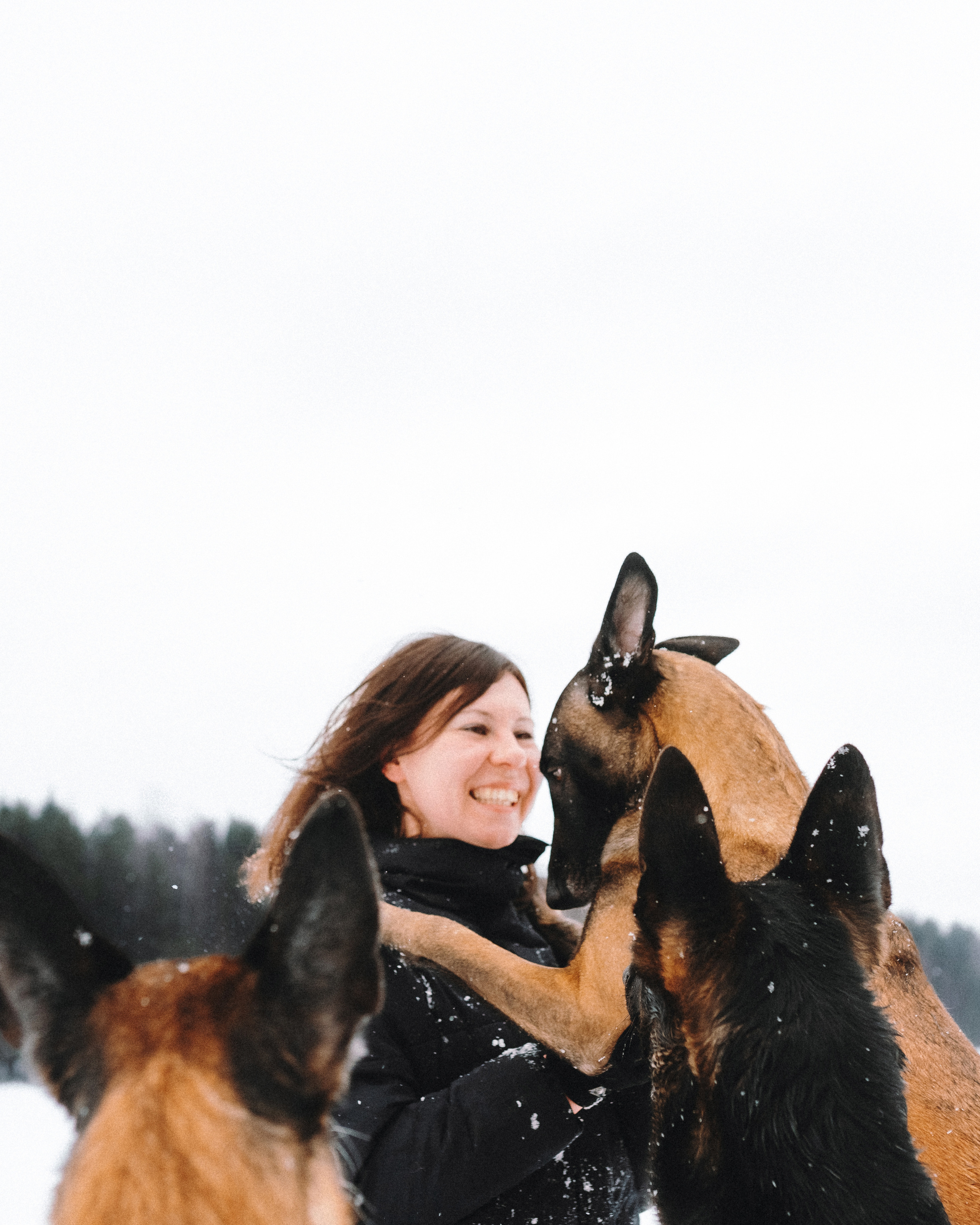 Оля, Делфи, Жара, Вита и Гранд. Фотограф анималист Осипчикова Мария
