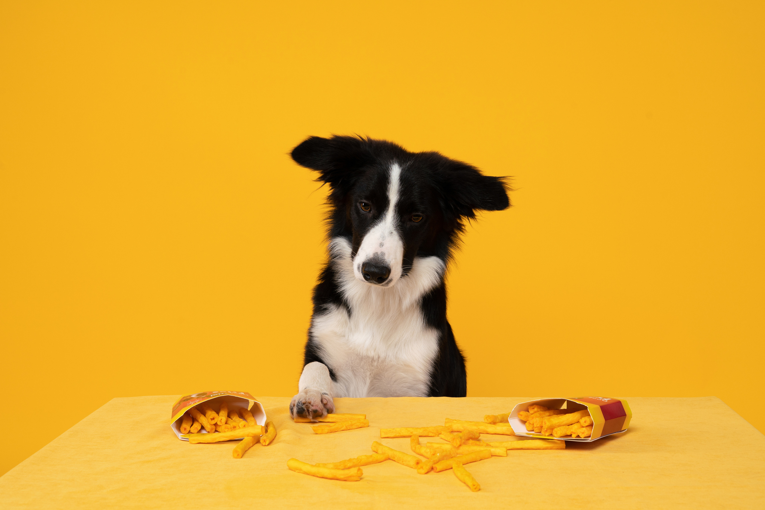 Лакомства. Фотограф анималист Осипчикова Мария