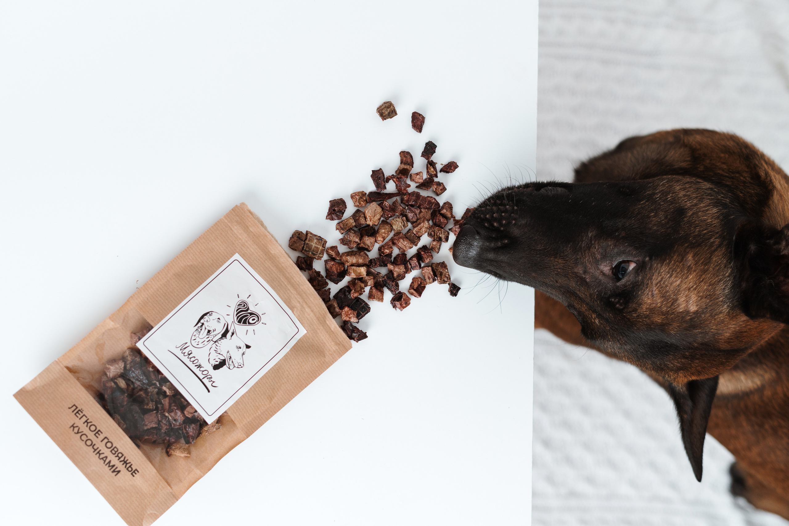 Сушенные лакомства. Фотограф анималист Осипчикова Мария