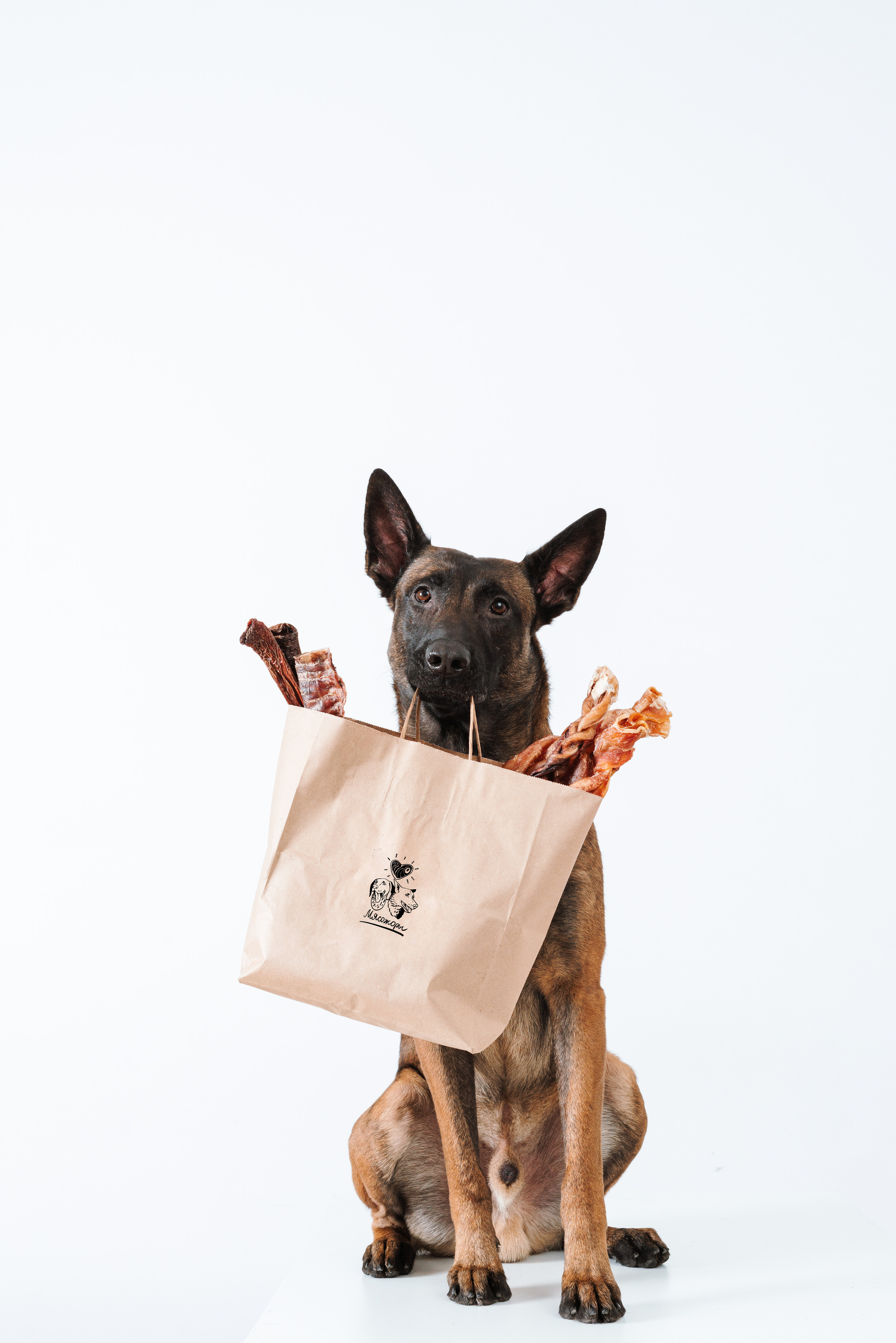 Сушенные лакомства. Фотограф анималист Осипчикова Мария