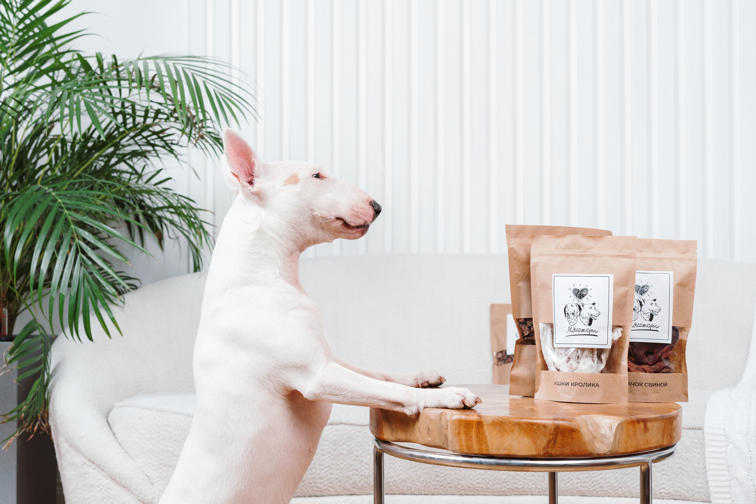 Сушенные лакомства. Фотограф анималист Осипчикова Мария