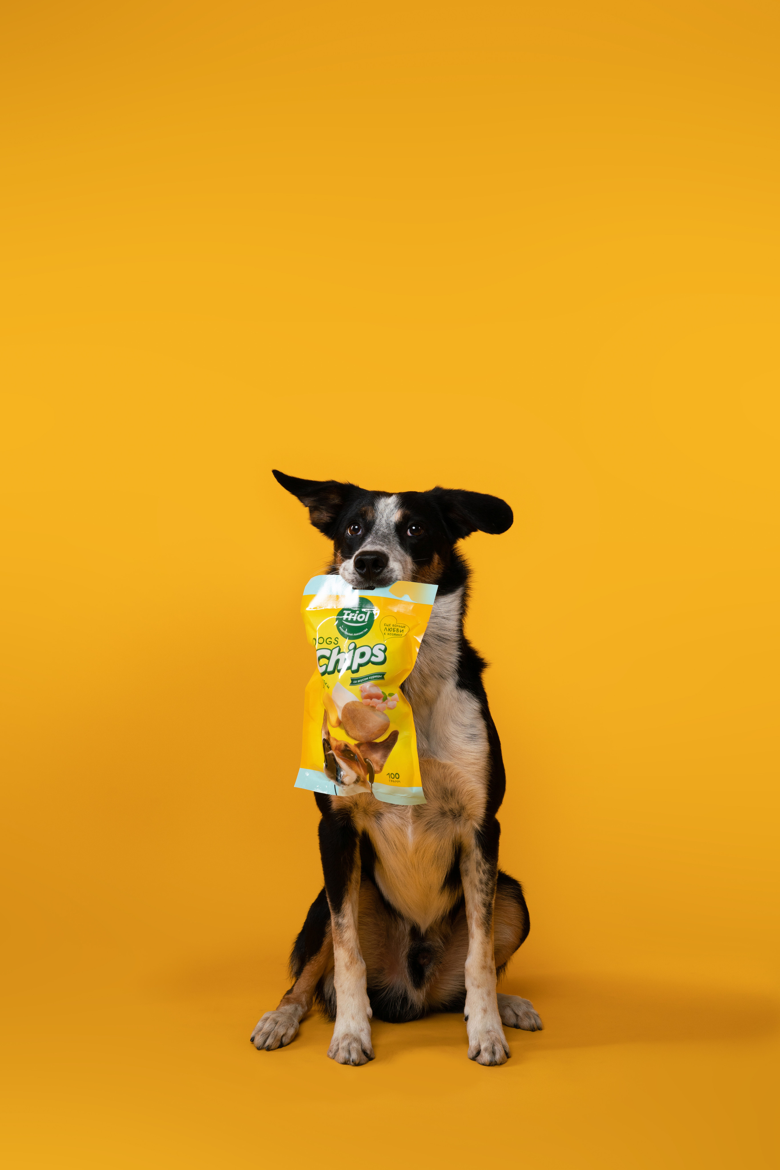 Лакомства. Фотограф анималист Осипчикова Мария