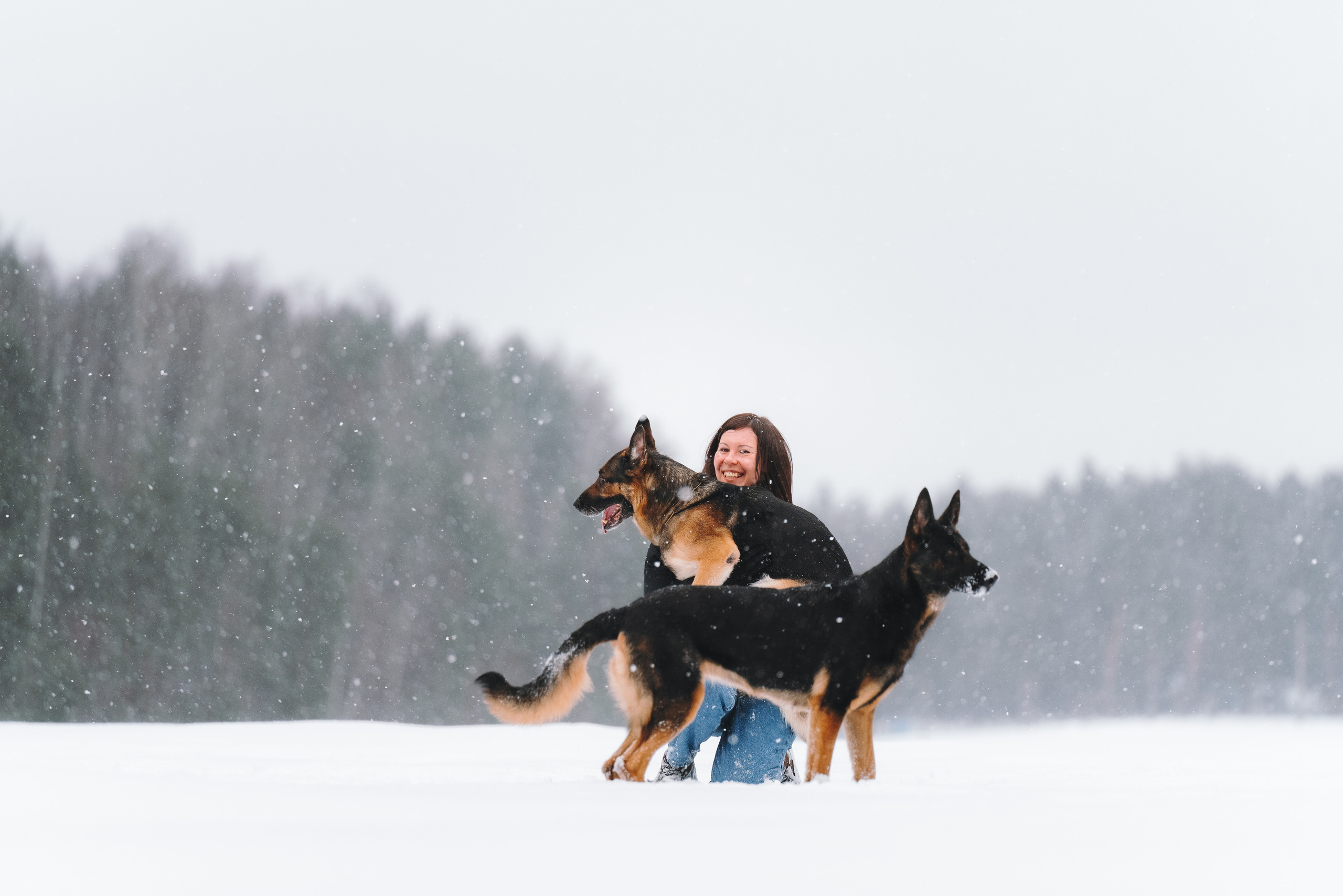 Оля, Делфи, Жара, Вита и Гранд. Фотограф анималист Осипчикова Мария