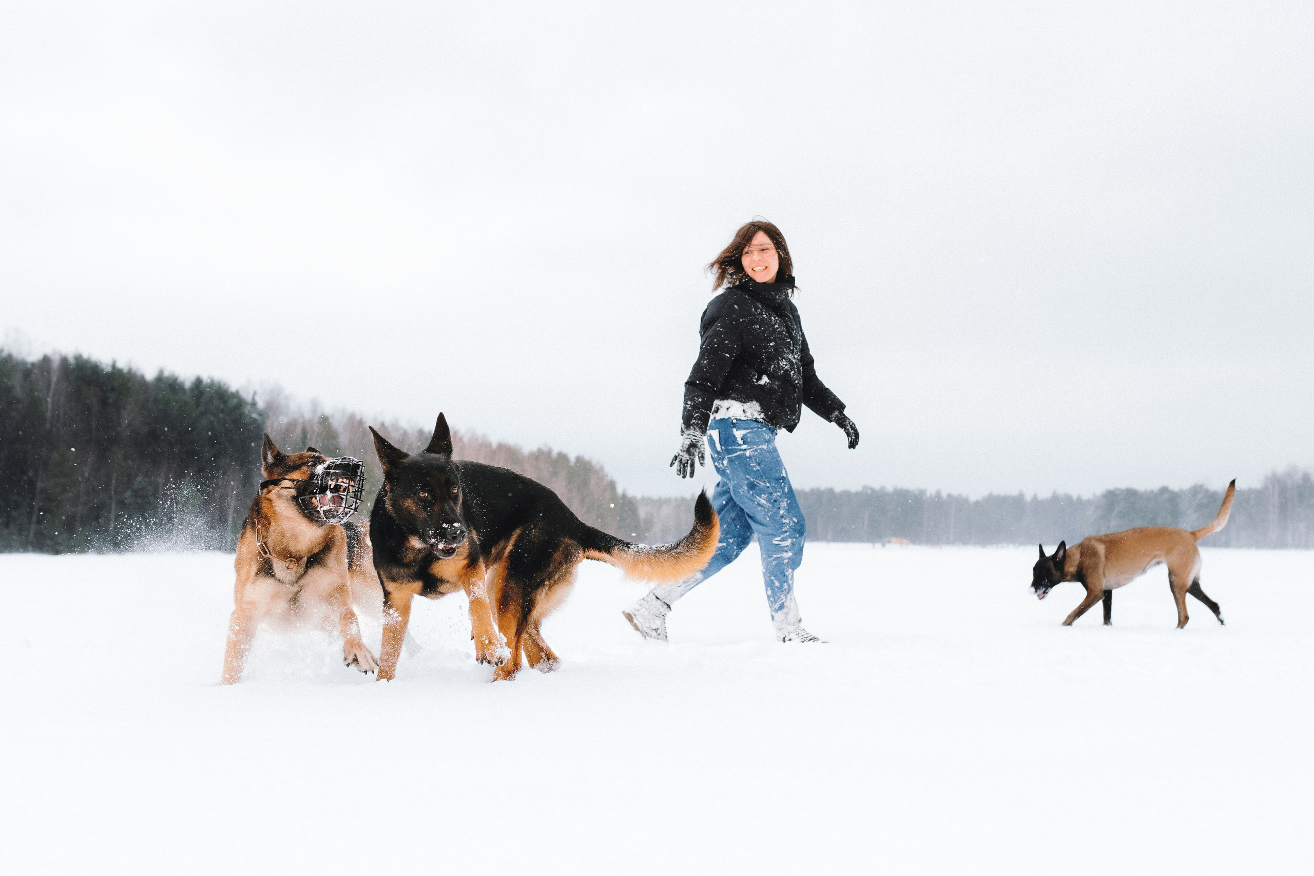Оля, Делфи, Жара, Вита и Гранд. Фотограф анималист Осипчикова Мария