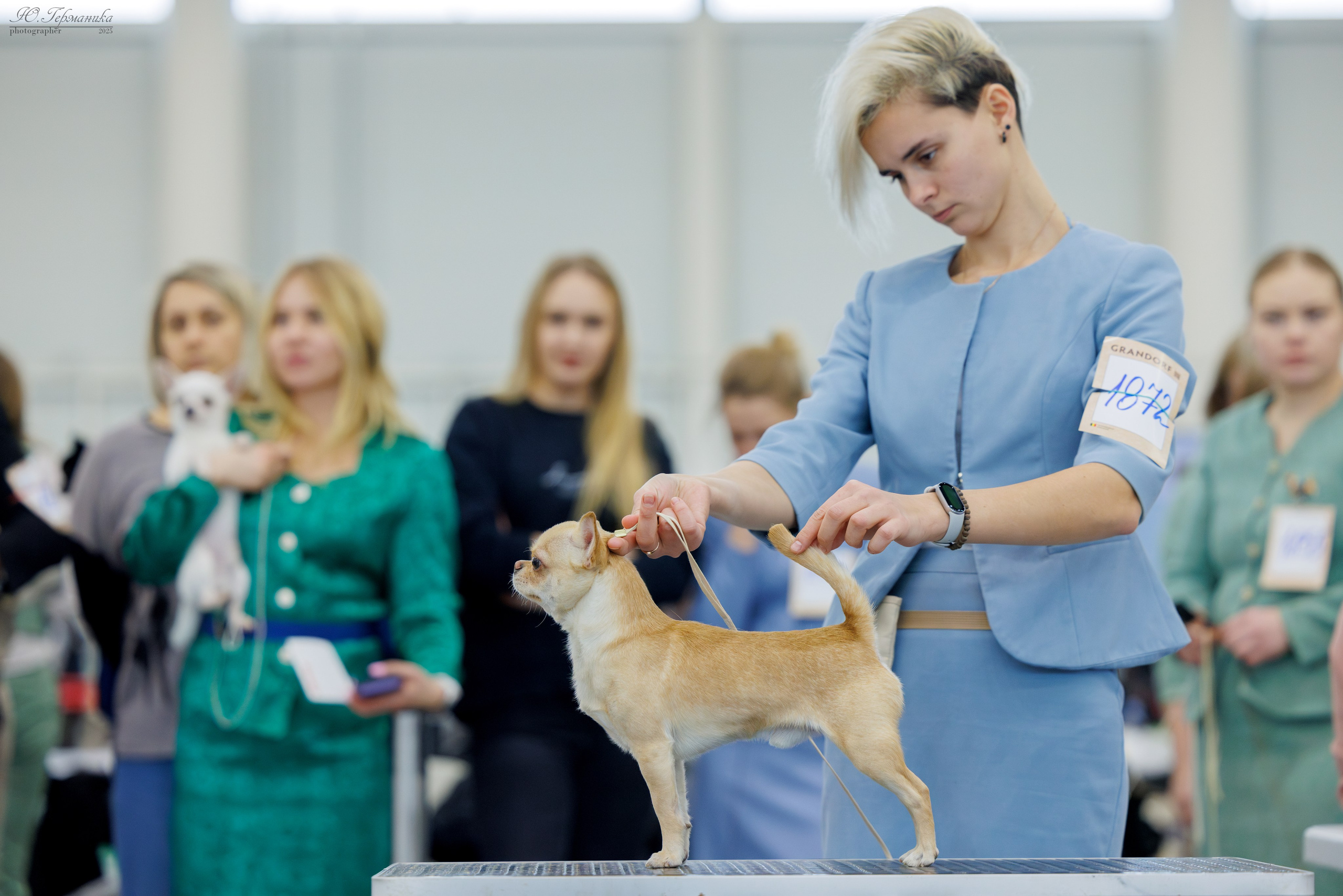 Сабанеевка Казань 25-26.01.2025. Фотограф-анималист Юлия Германика