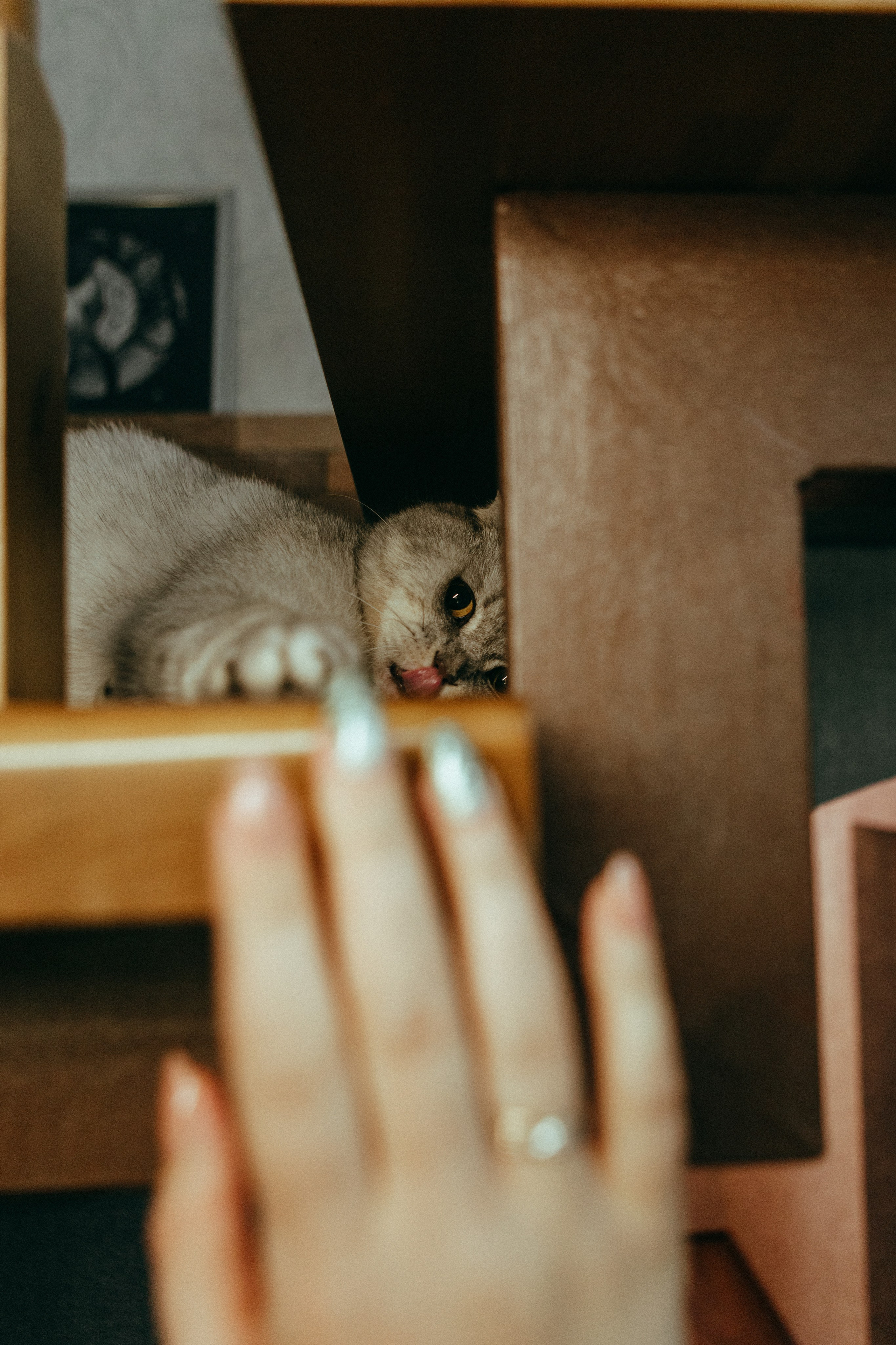 Свадебный фотограф в Санкт-Петербурге и Москве Андрей Чернов