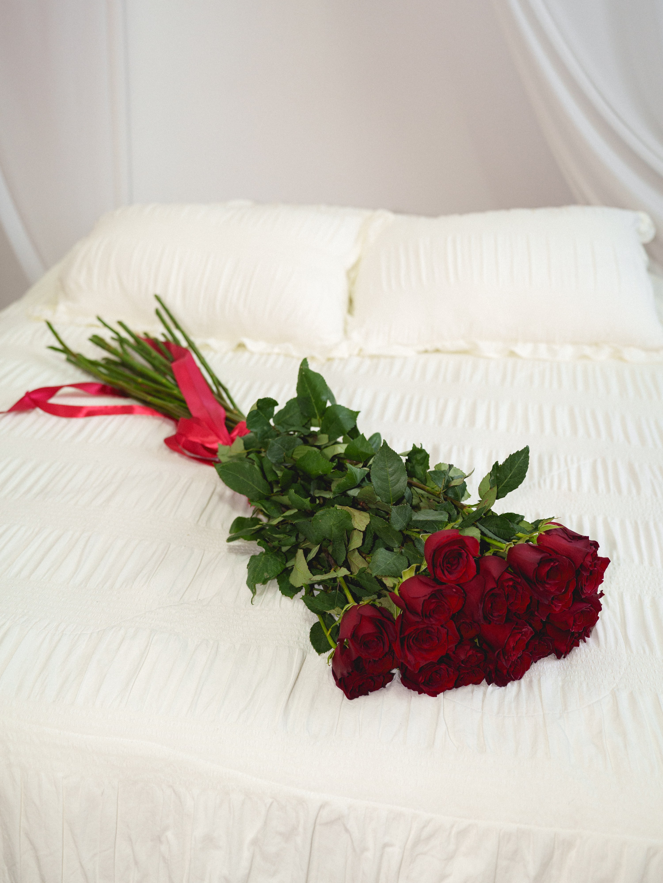 Цветы (контент к 14 февраля). Иван Упоров — фотограф, рилсмейкер чебоксары