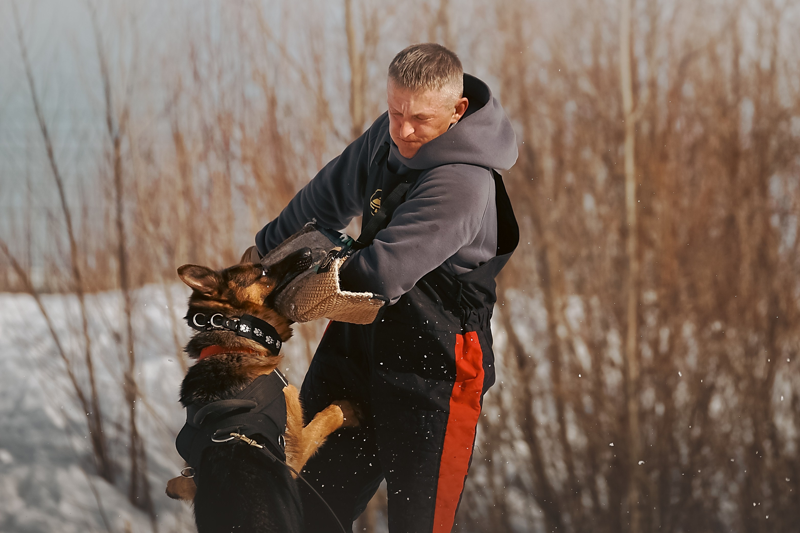 Репортажная съемка. Фотограф-анималист Нижний Новгород