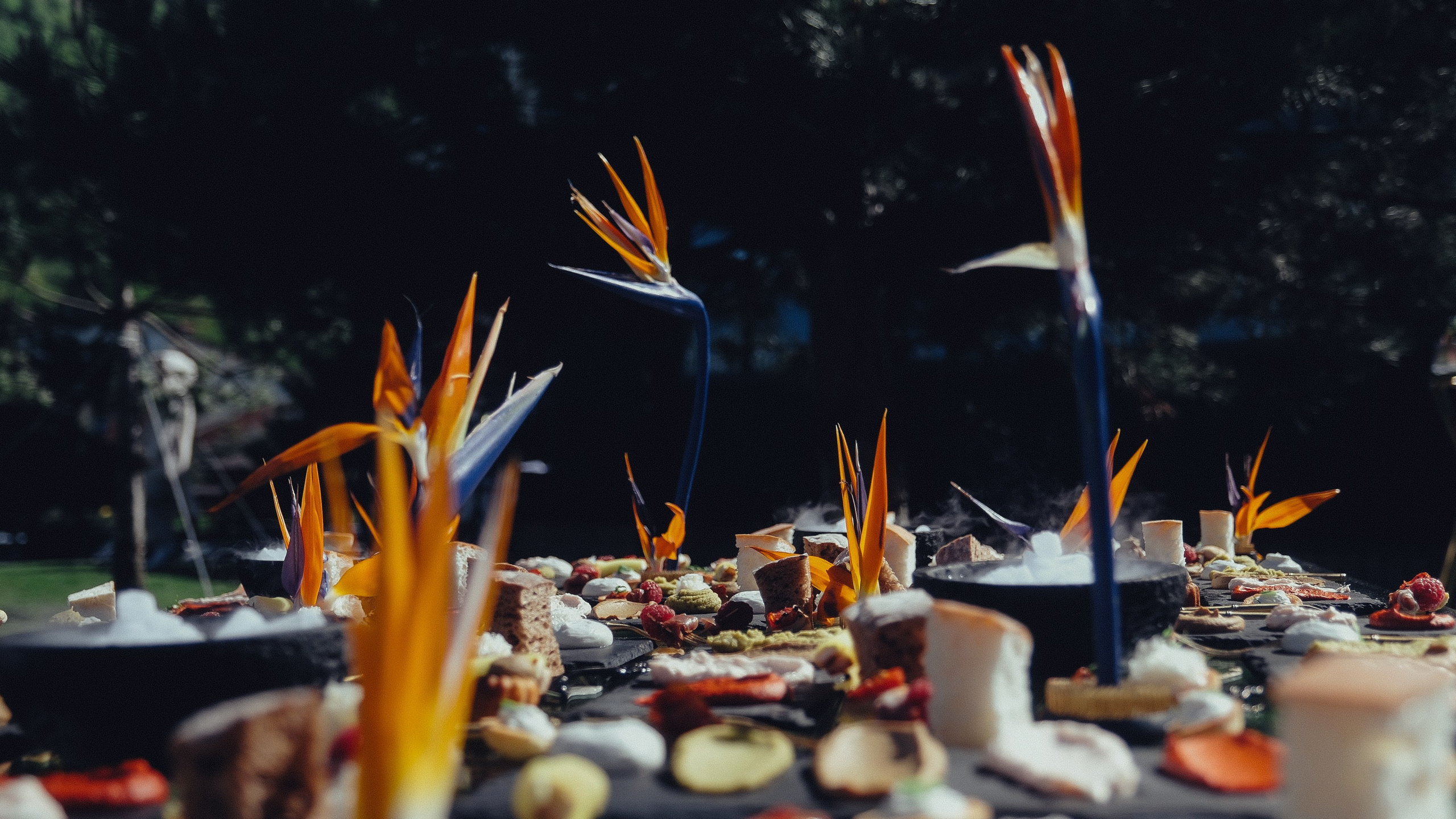 Аркея. Свадебный Видеограф Фотограф в Сочи