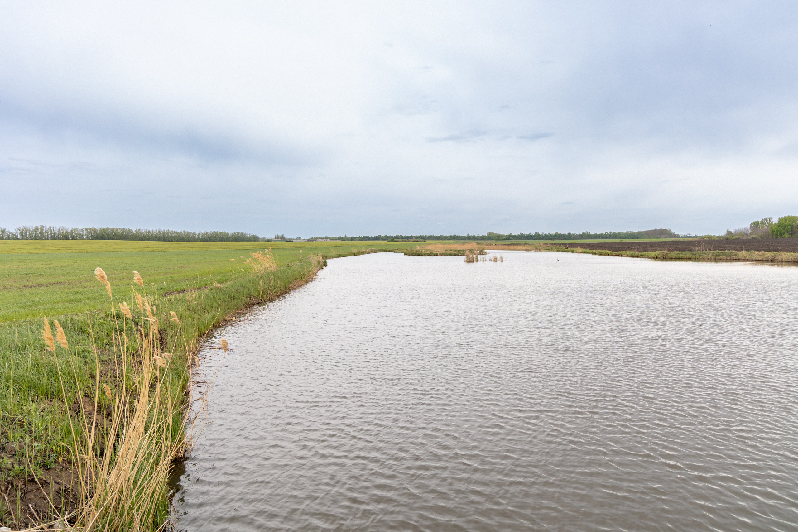 Приусадебный участок. Владислав Волков | Фотография и видеосъемка в Воронеже