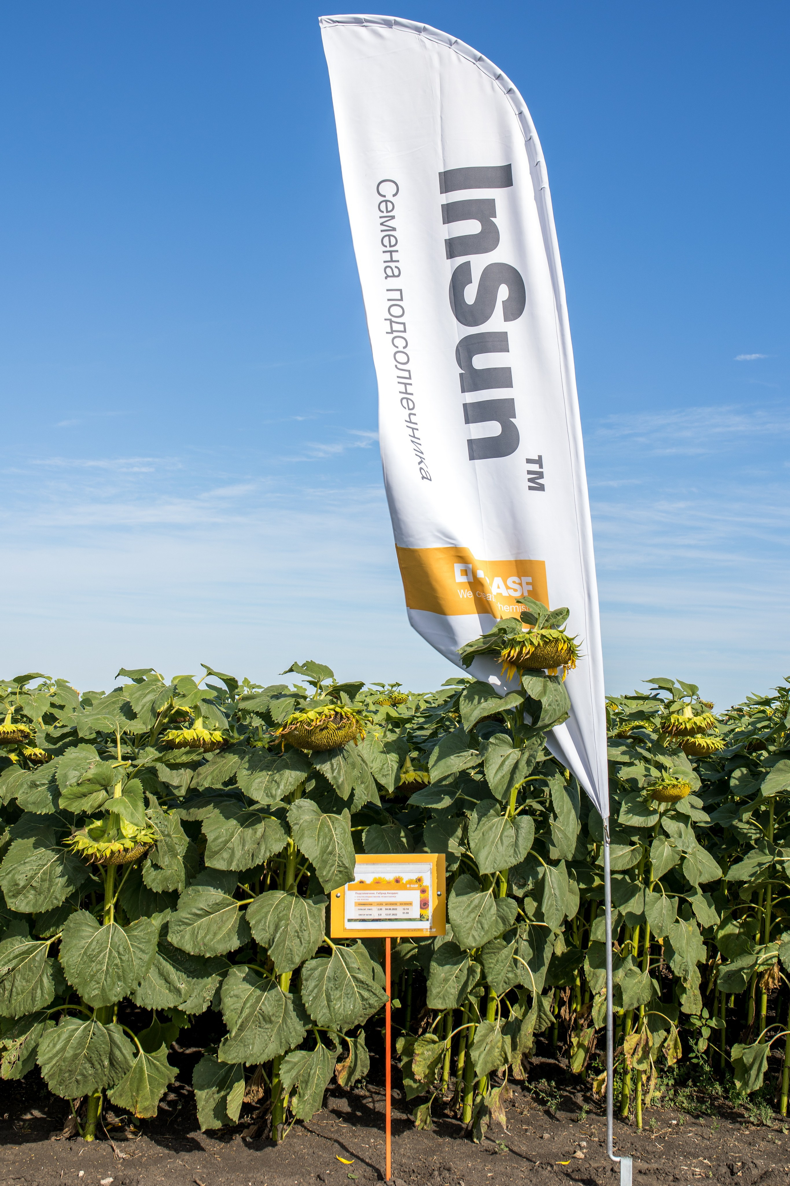 Решения для сельского хозяйства BASF 16.08.2022. Владислав Волков | Фотография и видеосъемка в Воронеже