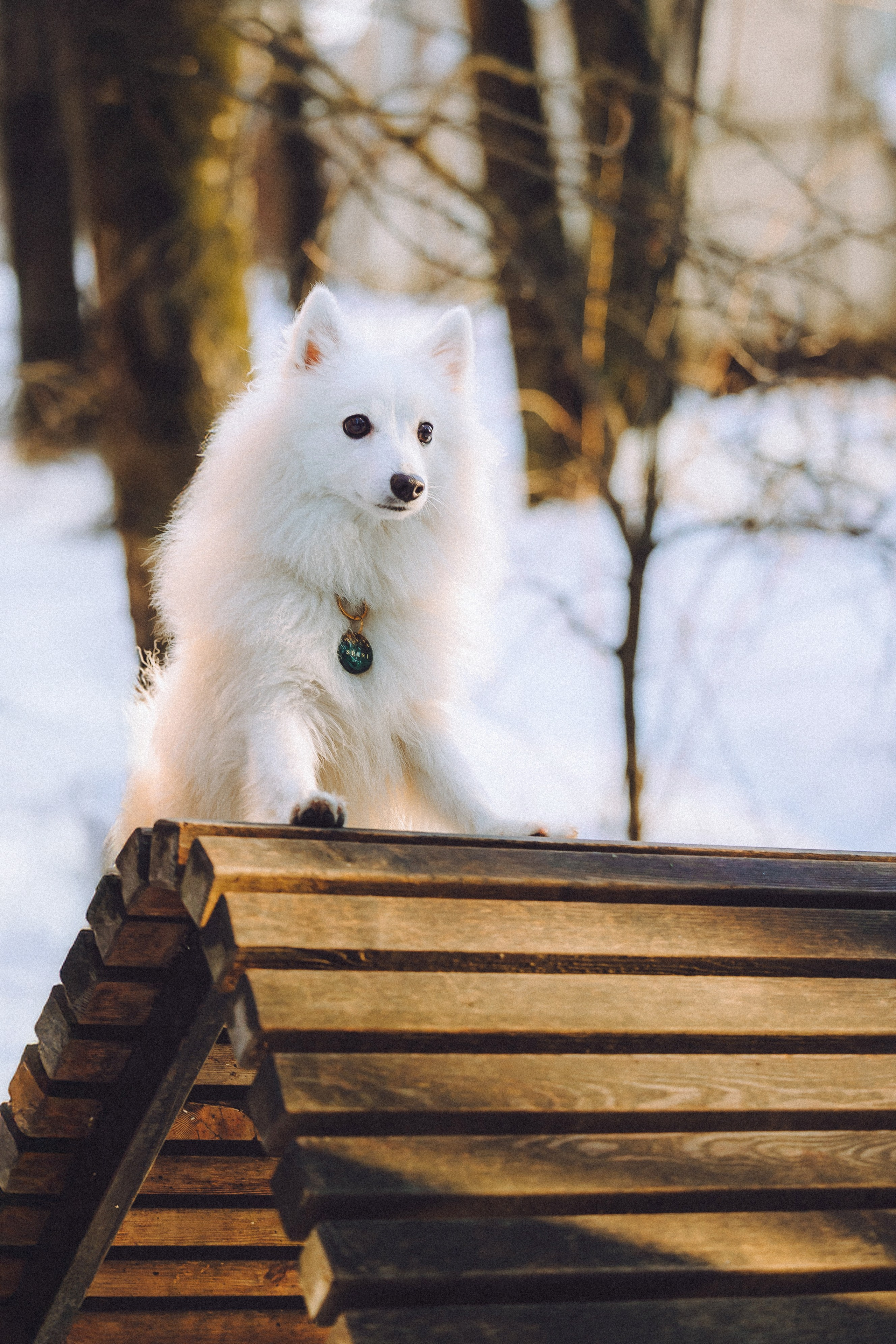 Шани и ее семья