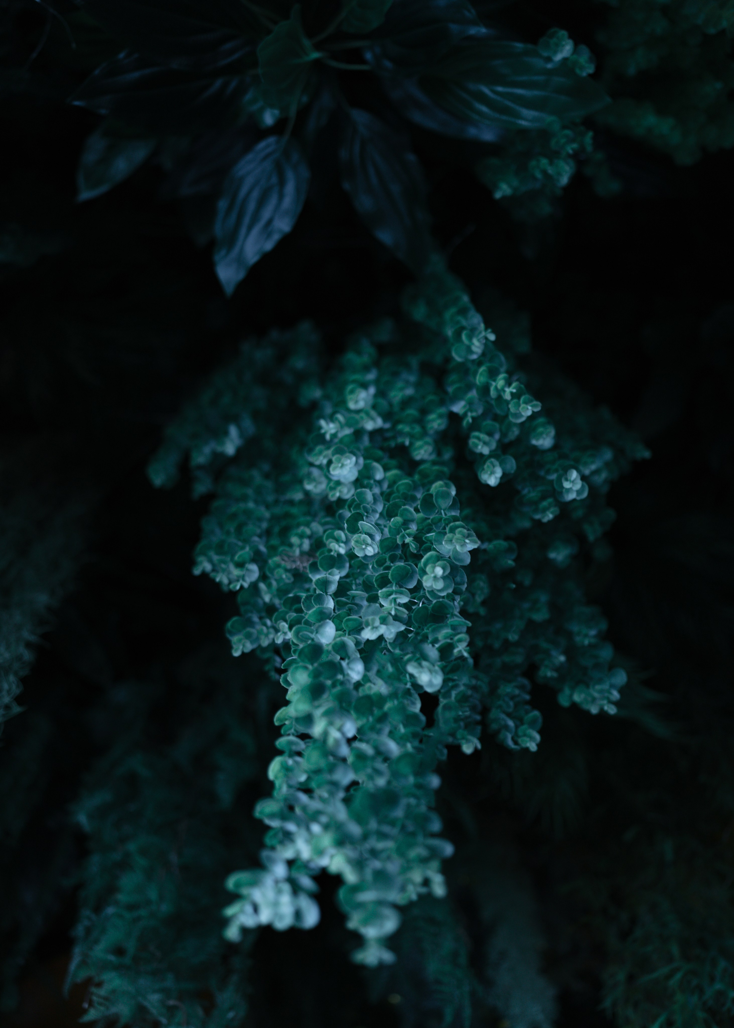 Birds 2.0. Свадебный фотограф в Москве Кристина Чехова