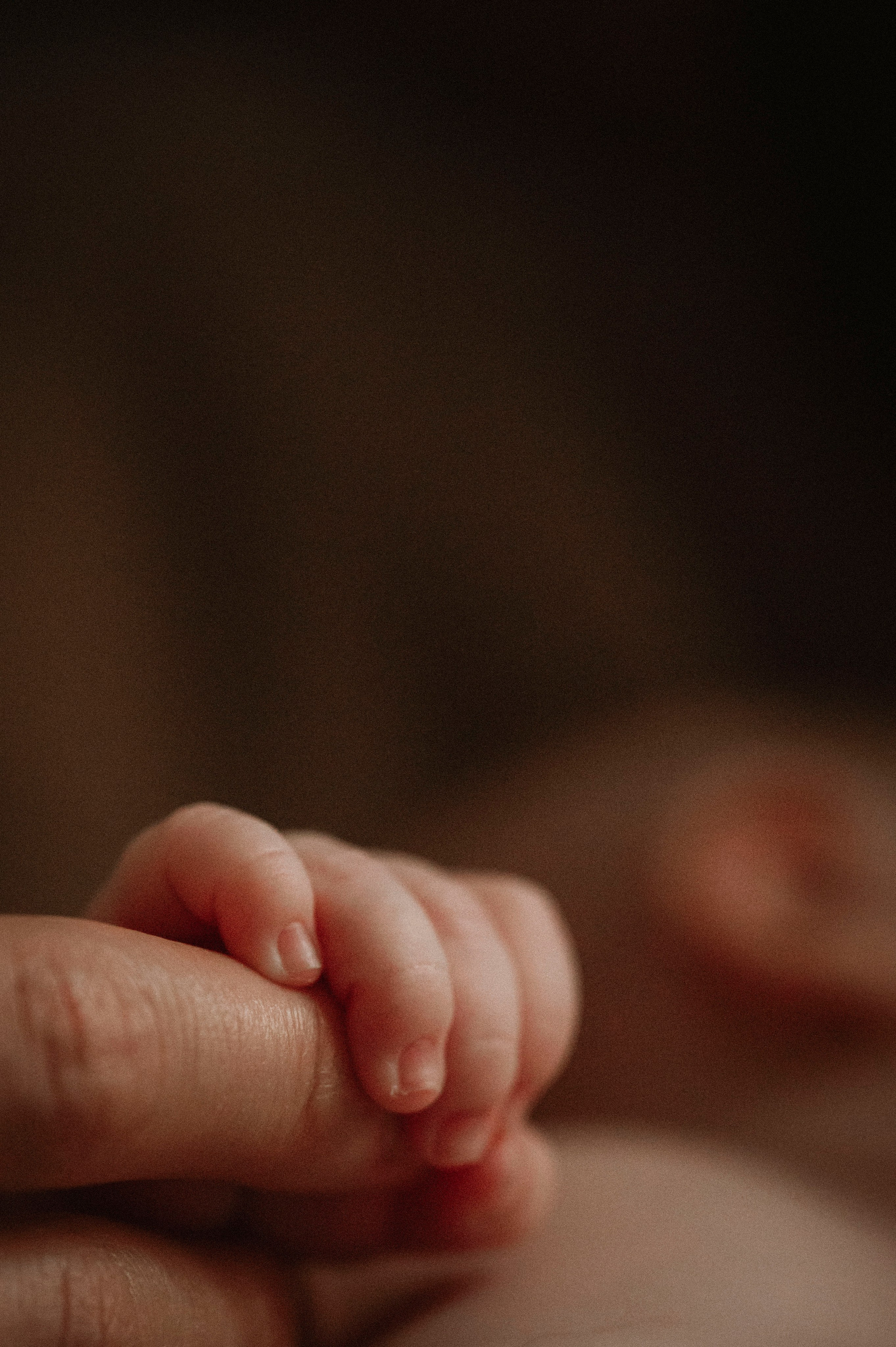 Семейная домашняя фотосессия. Профессиональный фотограф беременности в СПБ. Стильные фотосессии беременности в стиле минимализм и классическая фотография