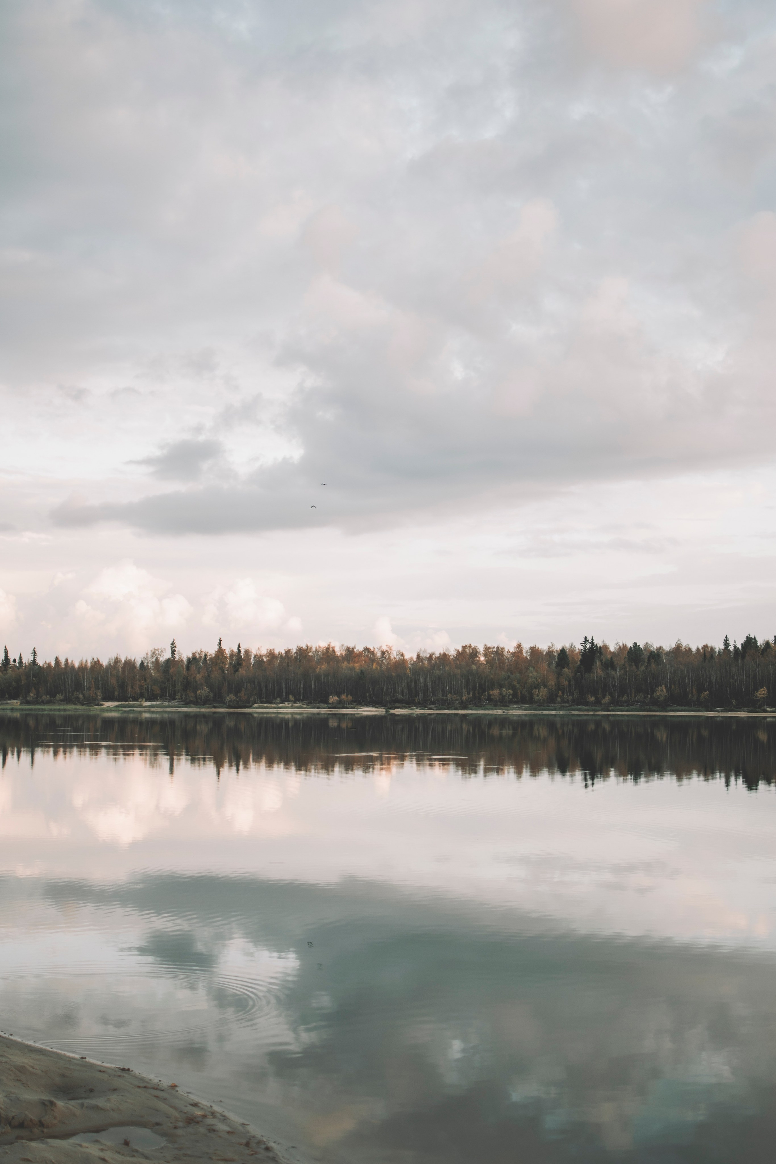 «Любовь живет тут…». Семейный и свадебный фотограф Губкинский и Ставрополь